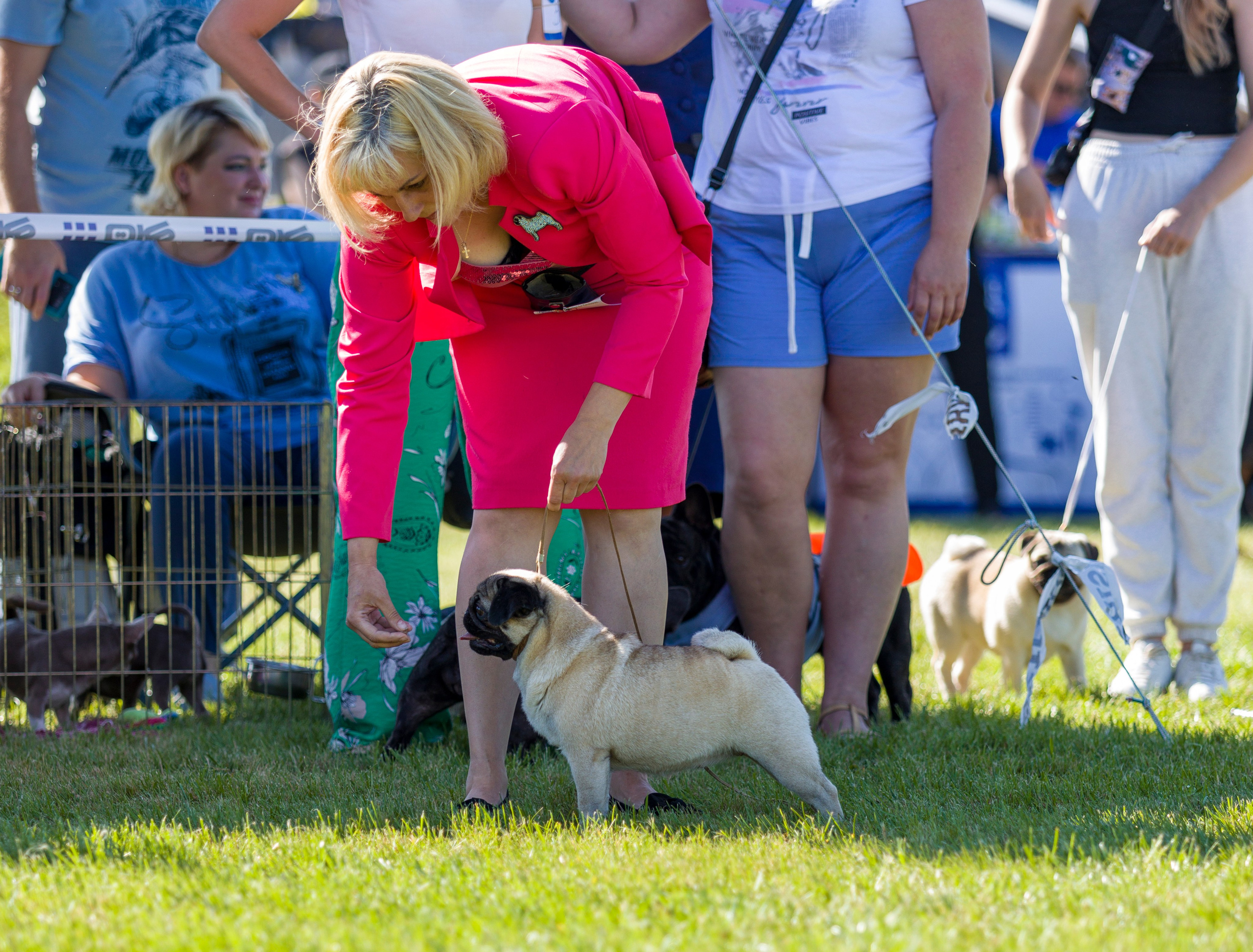 Выставки. Фотограф — анималист Татьяна Ли