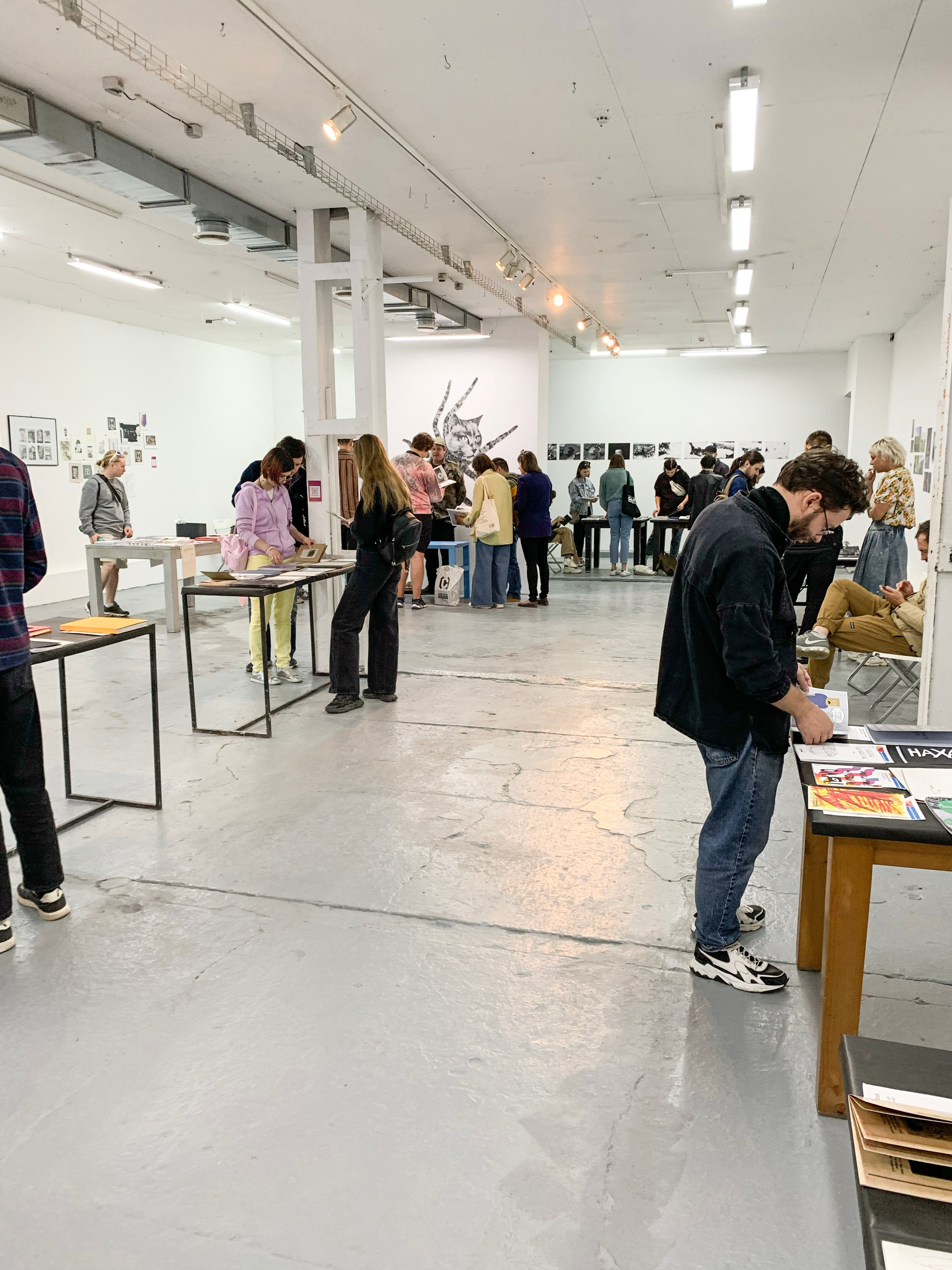 «Жердёла», зин-фестиваль, 10–11 сентября 2022, ЦСИ «Макаронка», Ростов-на-Дону. Лера Круглова