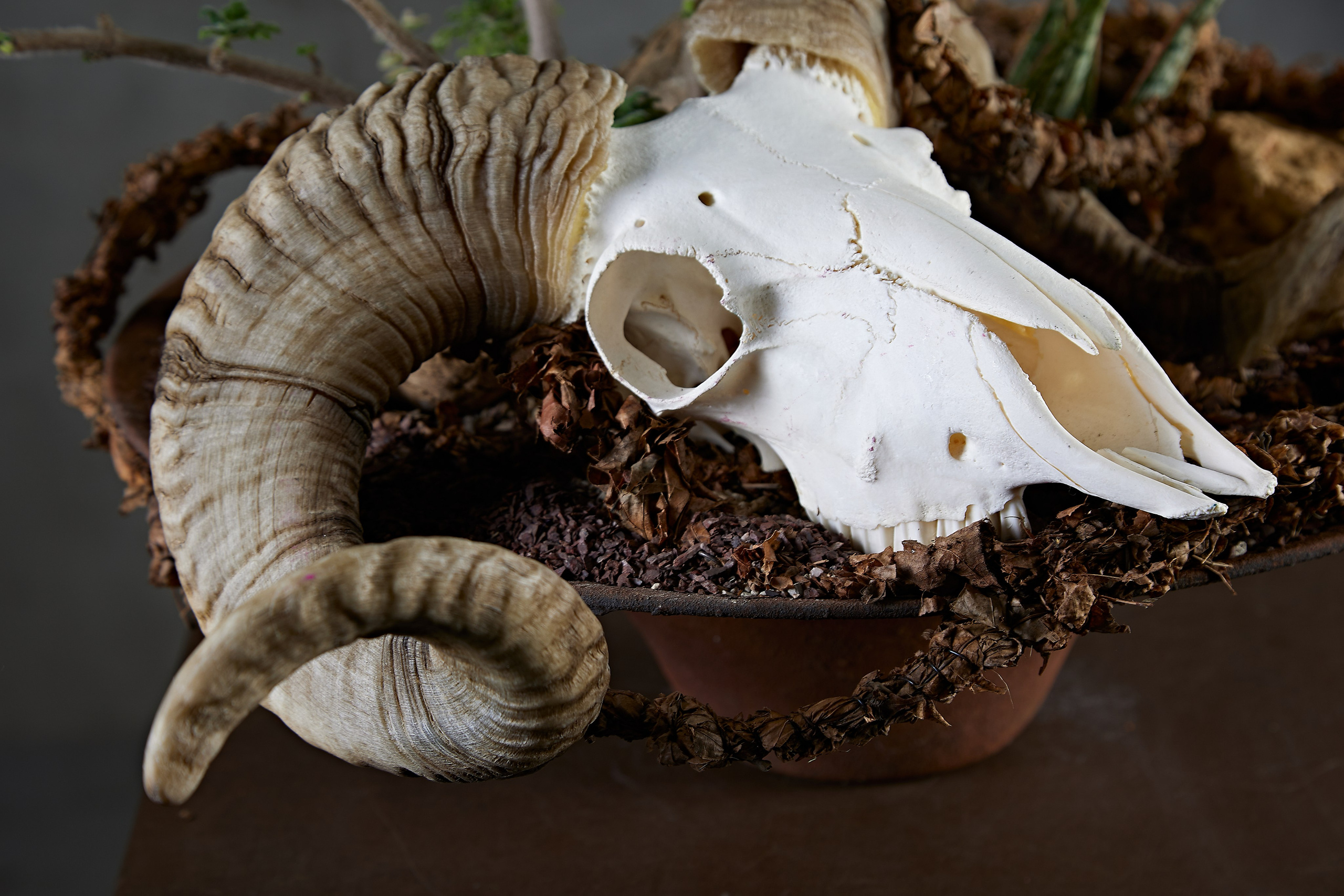 Mikhail Glazkov, phitodesigner. Maria Poleshchuk, commercial photographer in Sydney