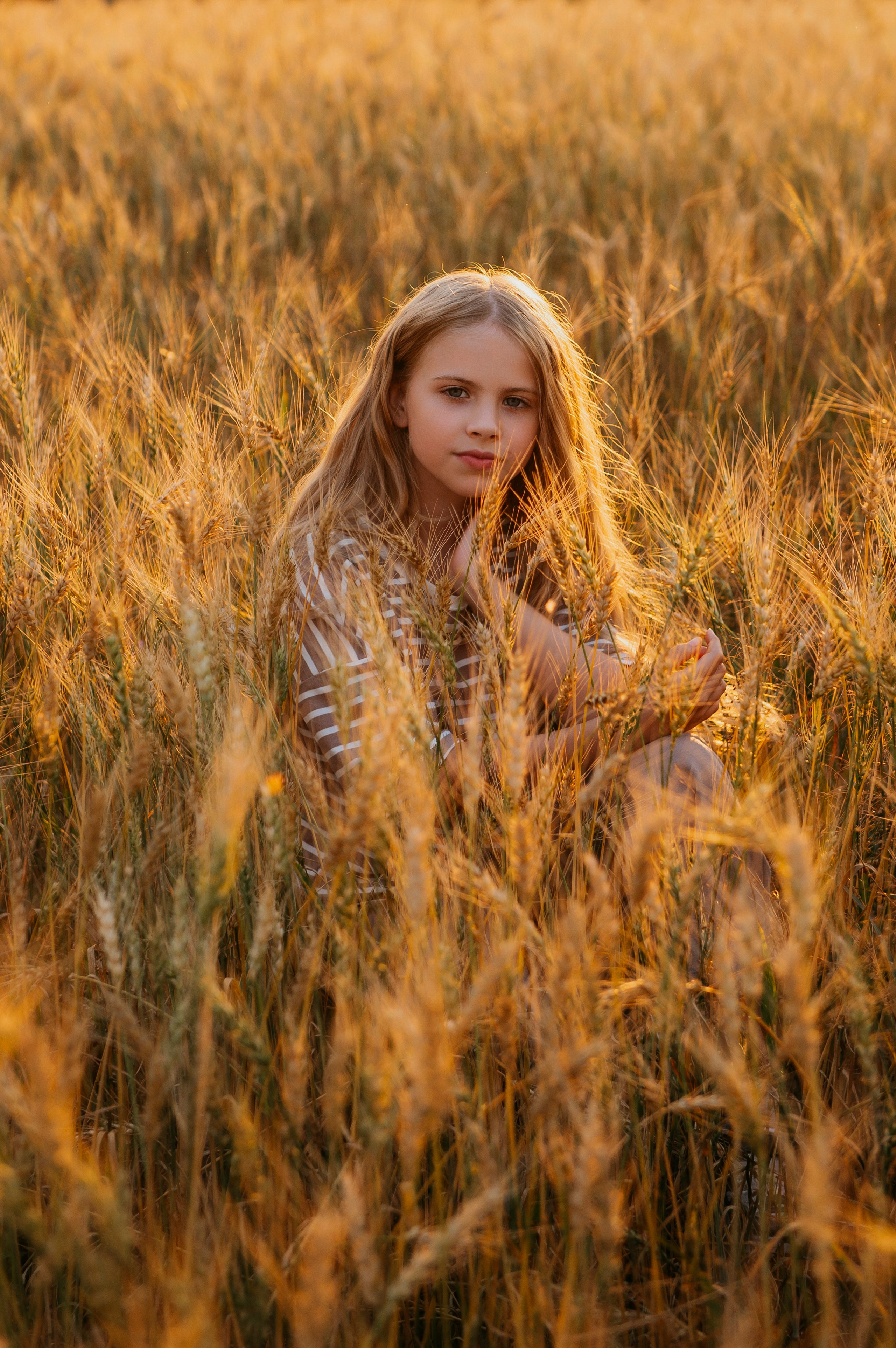Пшеничный закат. Фотограф Дарья Семина