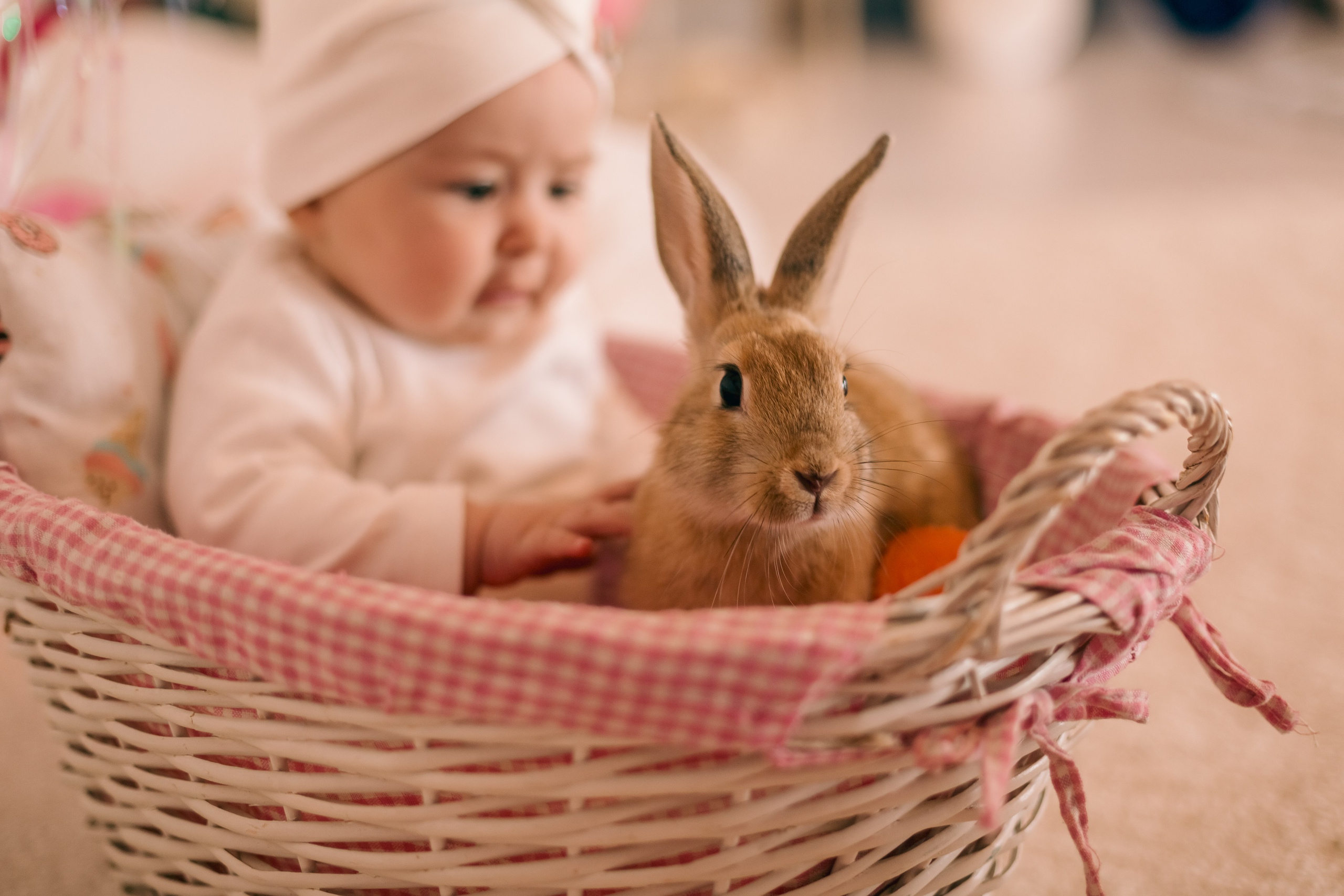 Семейное. Фотограф в Смоленске и Москве Ирина Макарова