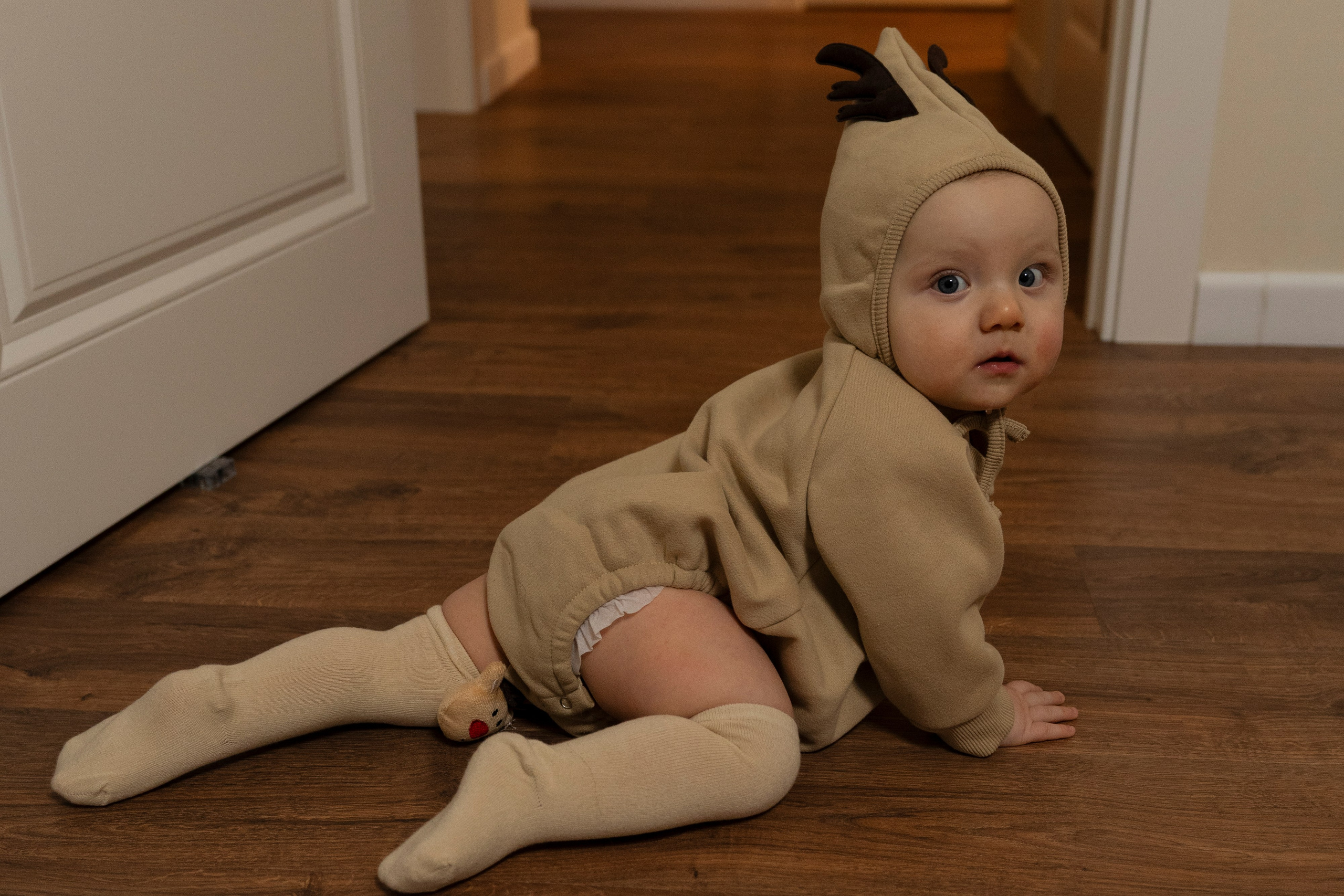 Новогодние тройняшки. Главная