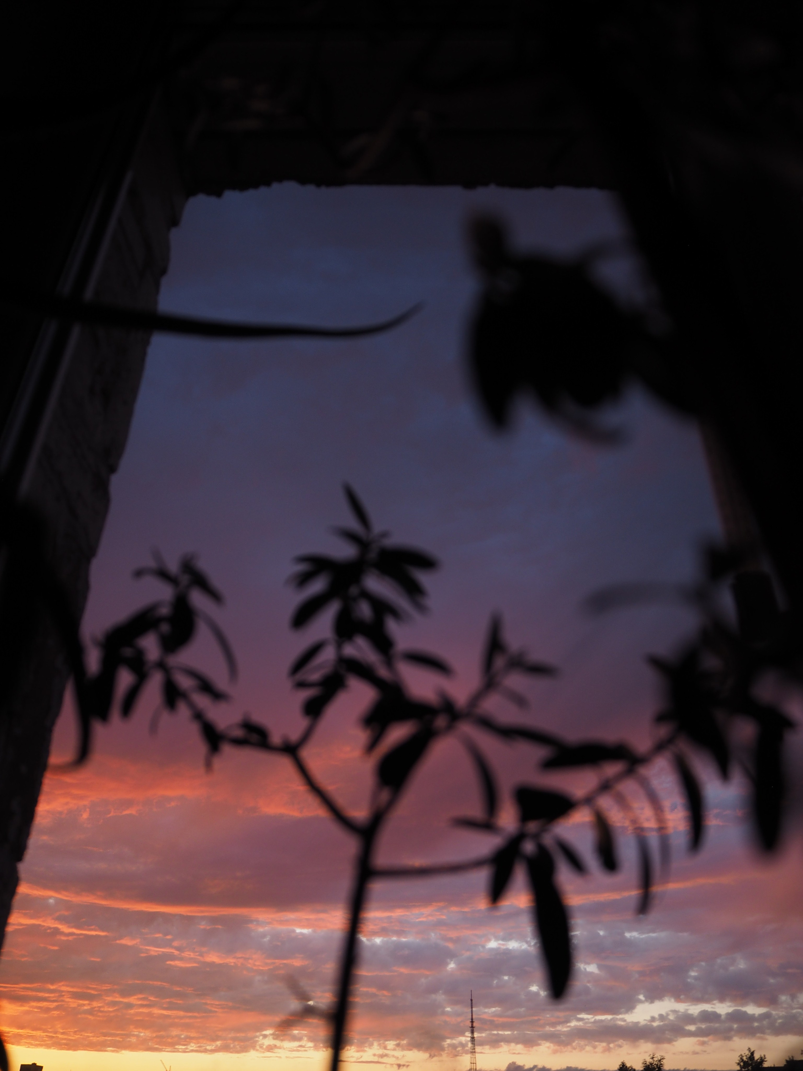 Наблюдения. Семейный фотограф в Новосибирске Артём Кузнецов