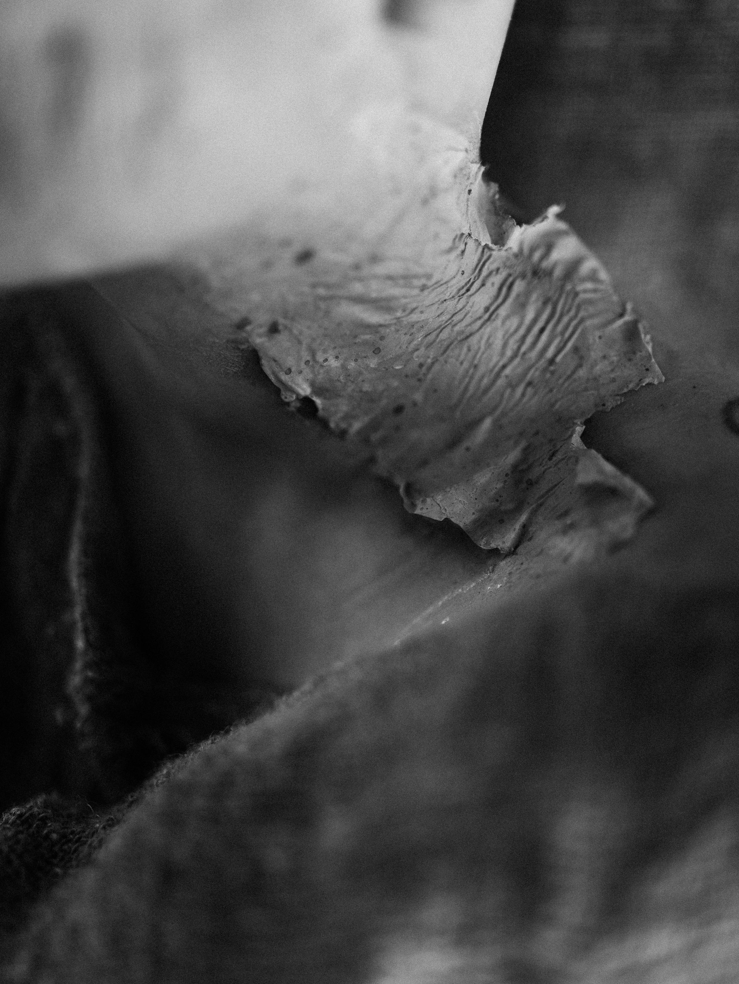 О внутреннем мире. Фотограф Олег Сотник