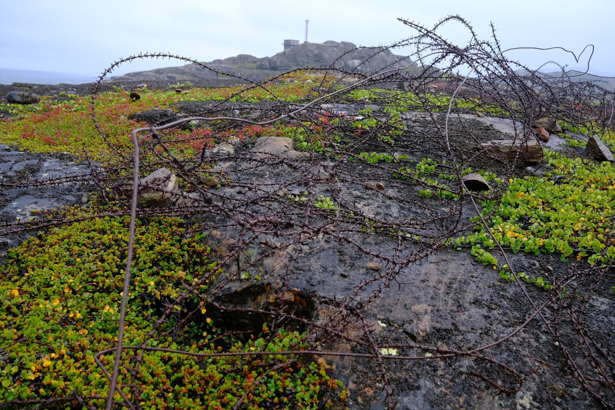 Полуостров Немецкий. Пейзажи Крайнего Севера. Баренцево море, Рыбачий, Средний, Немецкий