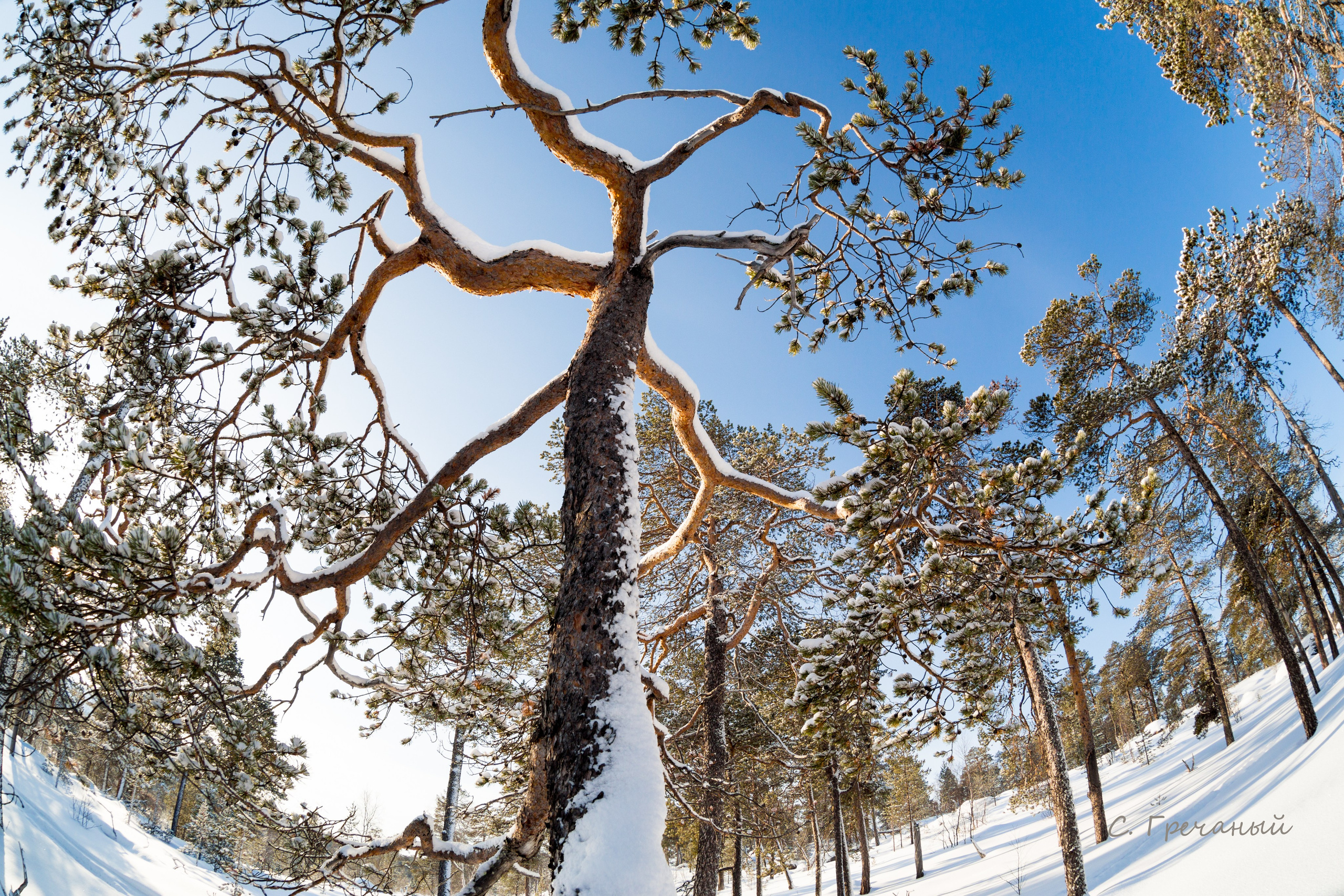Зима. Пейзажи Крайнего Севера. Баренцево море, Рыбачий, Средний, Немецкий