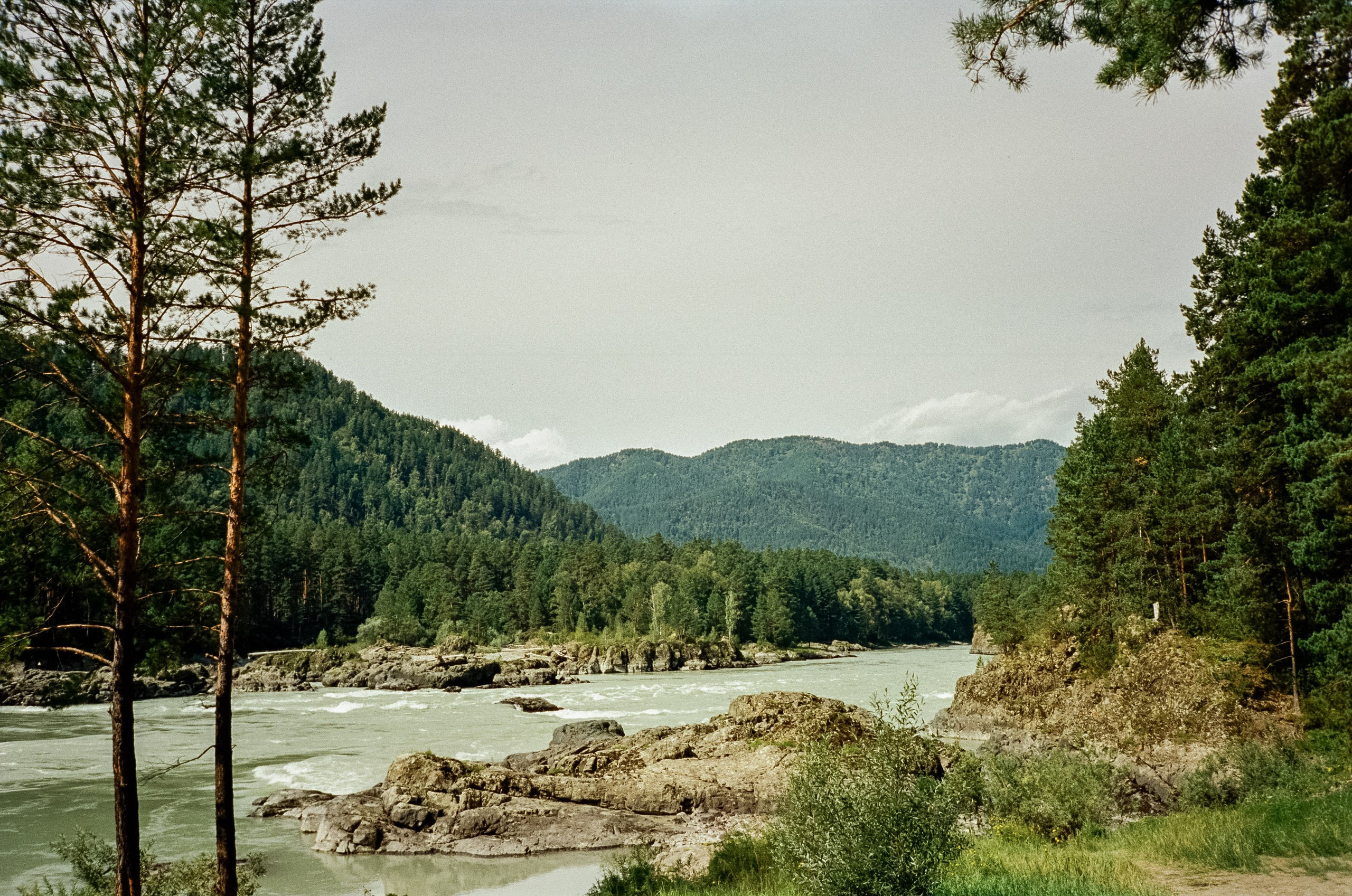 Кедровый остров, Катунь и скалы. Фотограф-документалист Мария Осокина
