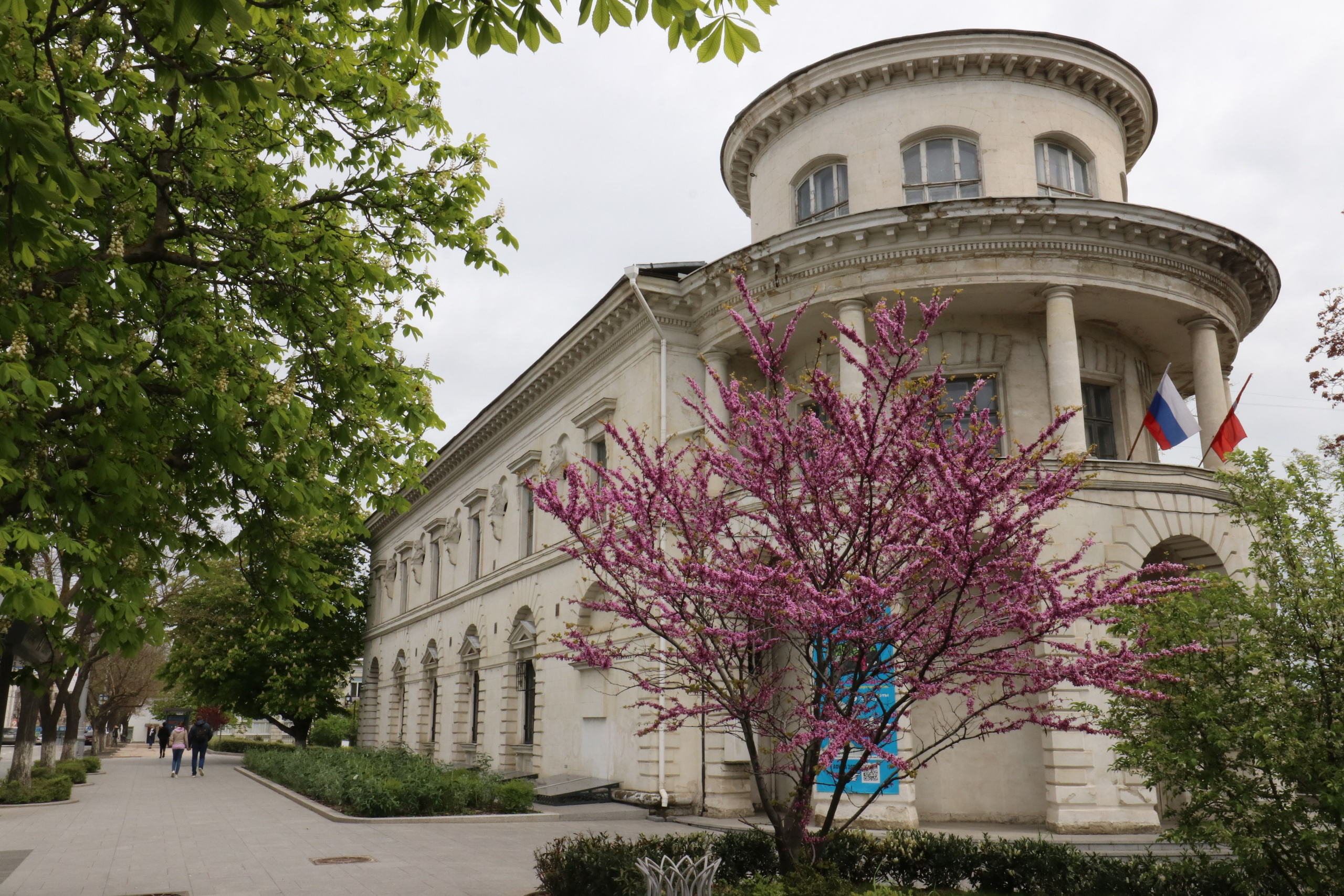 Крым. ЮБК (Севастополь, Кастрополь, Ялта). Май 2023. Путешественник-фотограф из Санкт-Петербурга Татьяна Свистулина