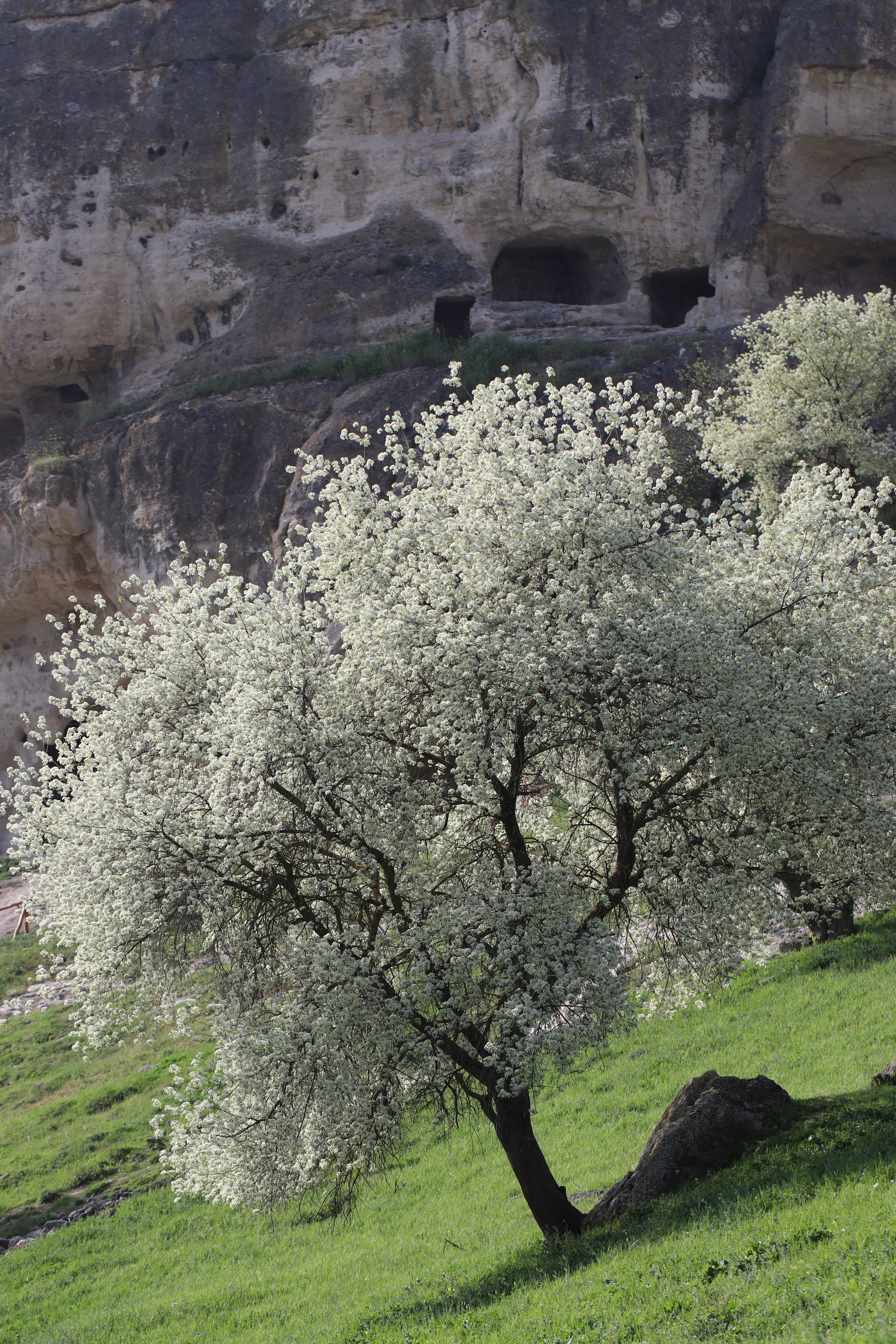 Крым. ЮБК (Бахчисарай, Кастрополь, Таракташская тропа). Май 2021. Путешественник-фотограф из Санкт-Петербурга Татьяна Свистулина