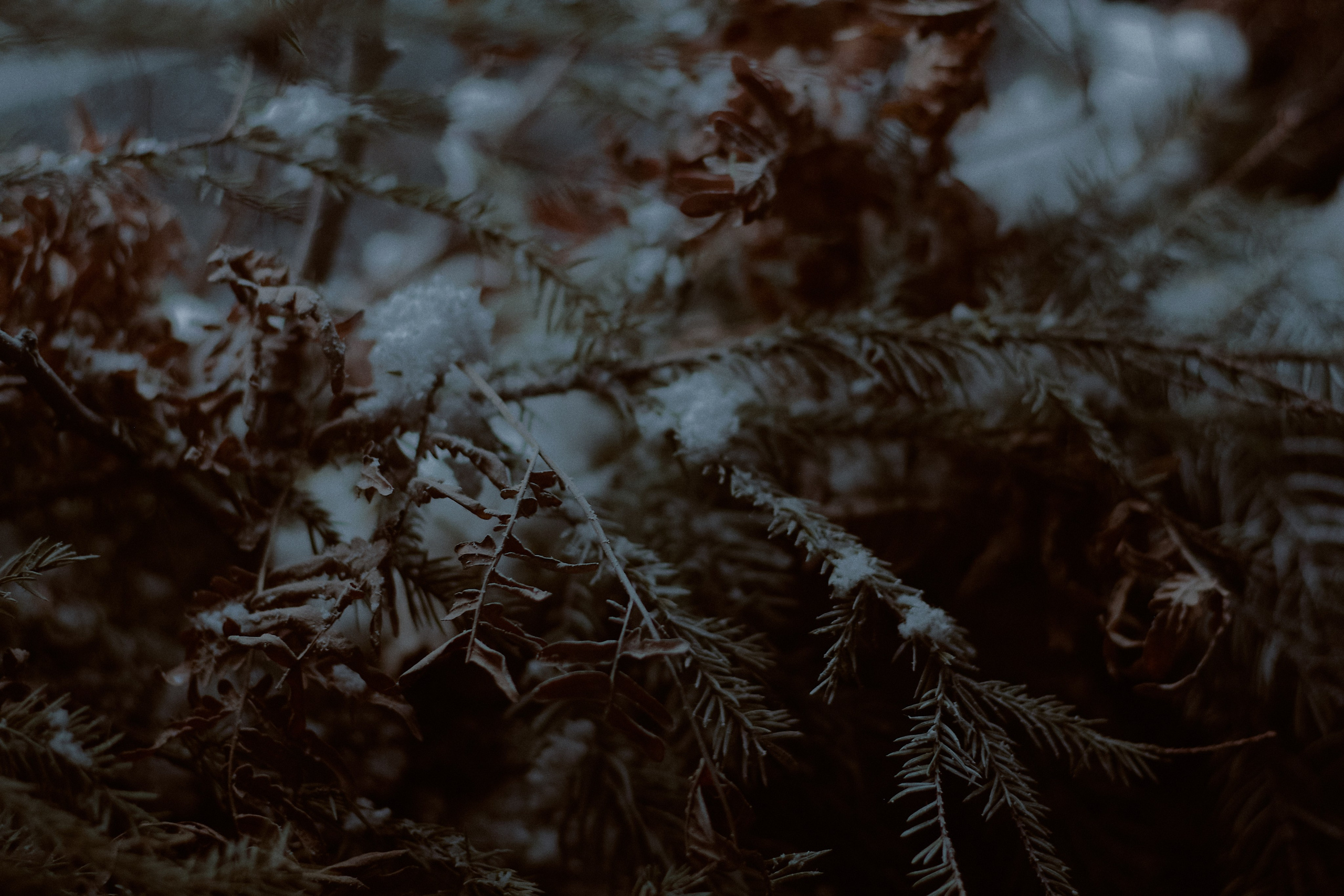 Тень. Фотограф лавстори Москва/МО Приятелева Ангелина