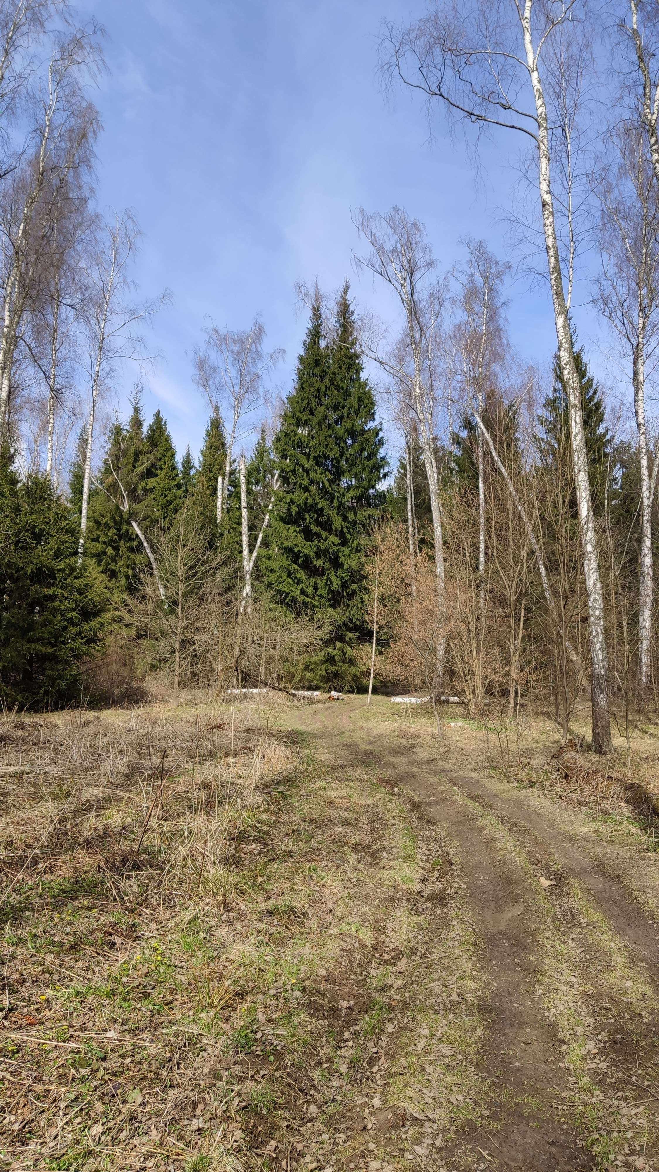 Фото Природы Забайкалья. Студия Максима Белослюдцева
