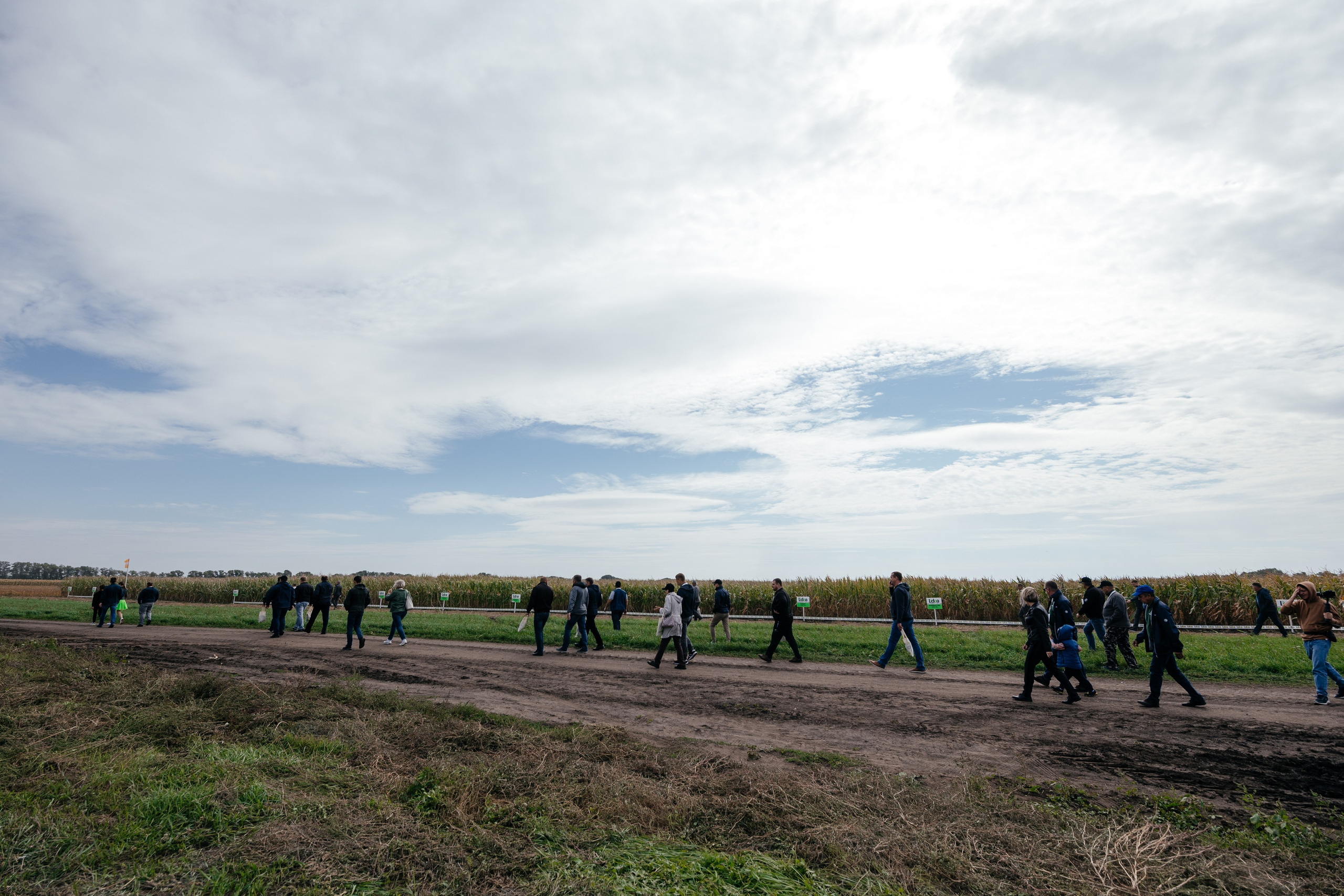 День поля. Фотограф Крохин Олег