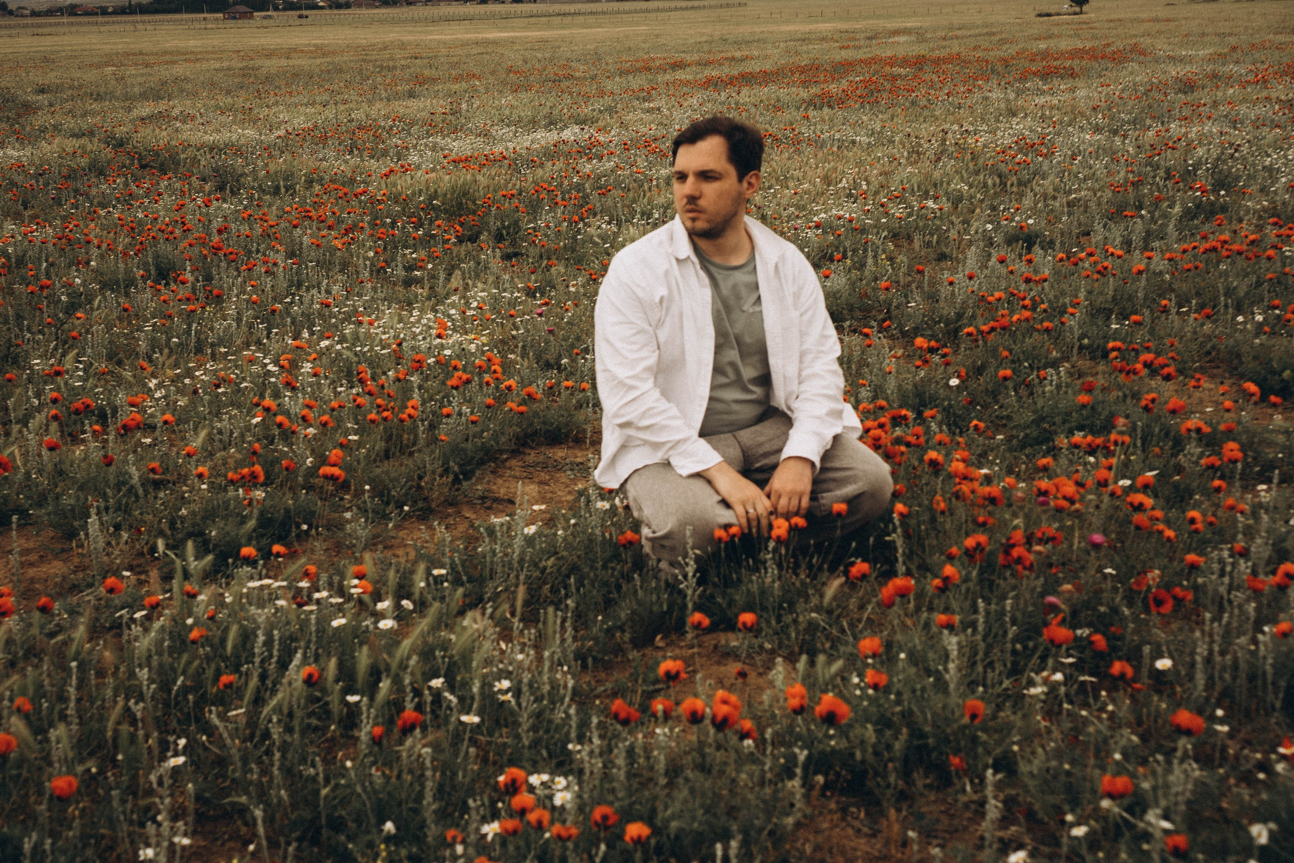 Маки. Профессиональный фотограф, Санкт-Петербург — Виктория Богомолова