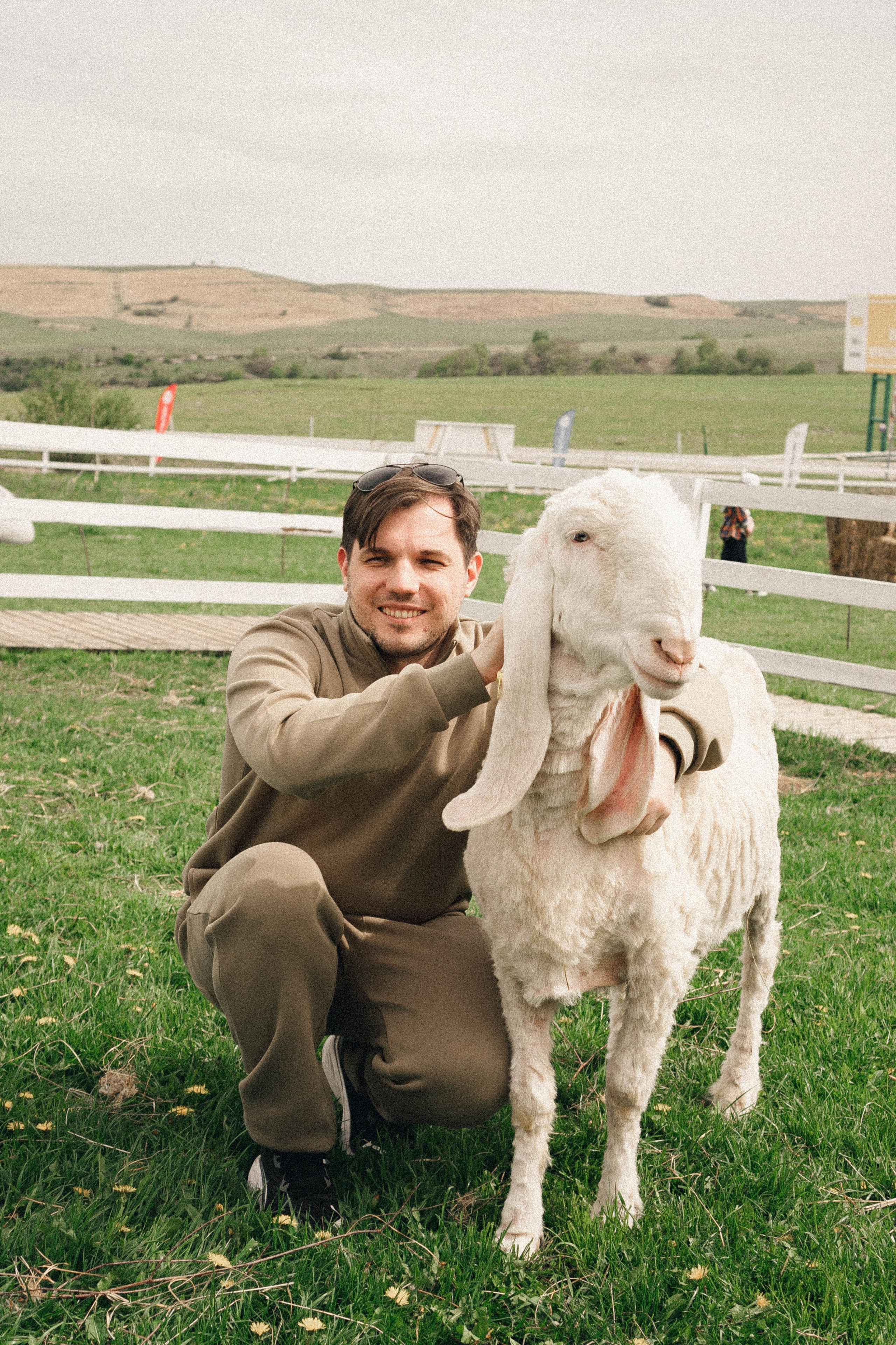 Ферма Альпак. Профессиональный фотограф, Санкт-Петербург — Виктория Богомолова