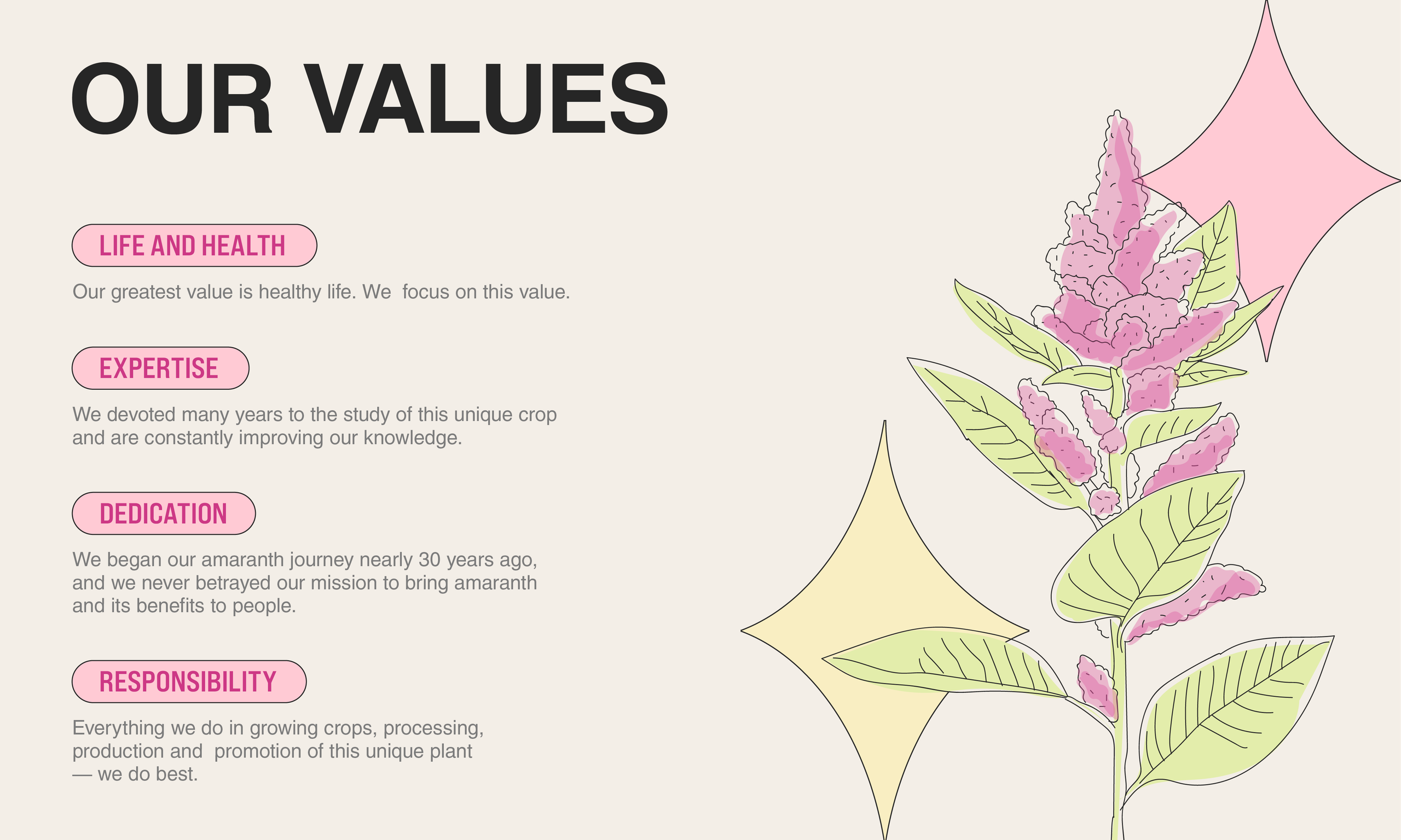 AMARANCHO. Arina is a creative Graphic Designer