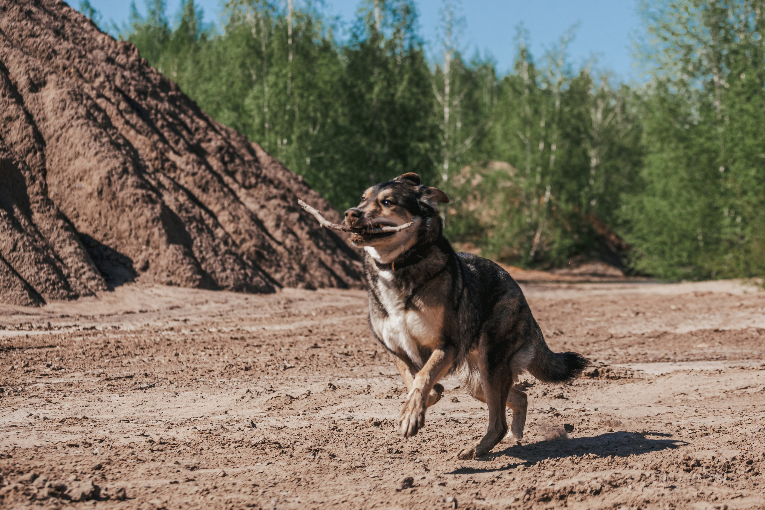 Кондуки. Фотограф-анималист Татьяна Степанова