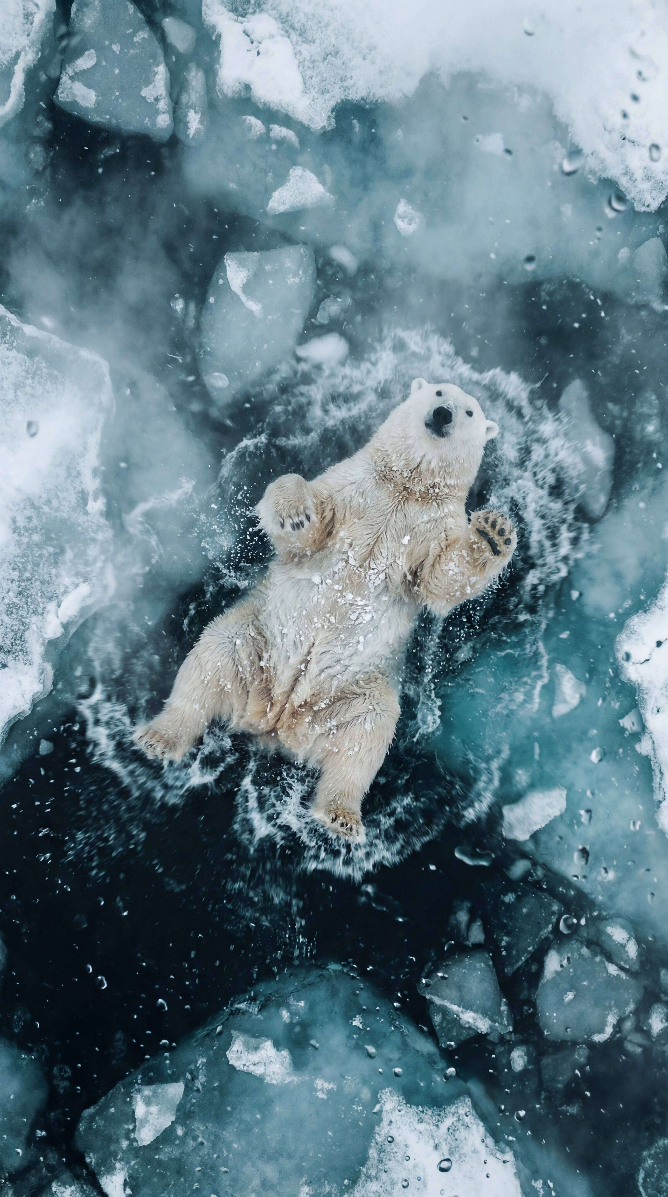 Животные фотогенерации. AI‑креатор: фото‑ и видео‑креативы на нейросетях