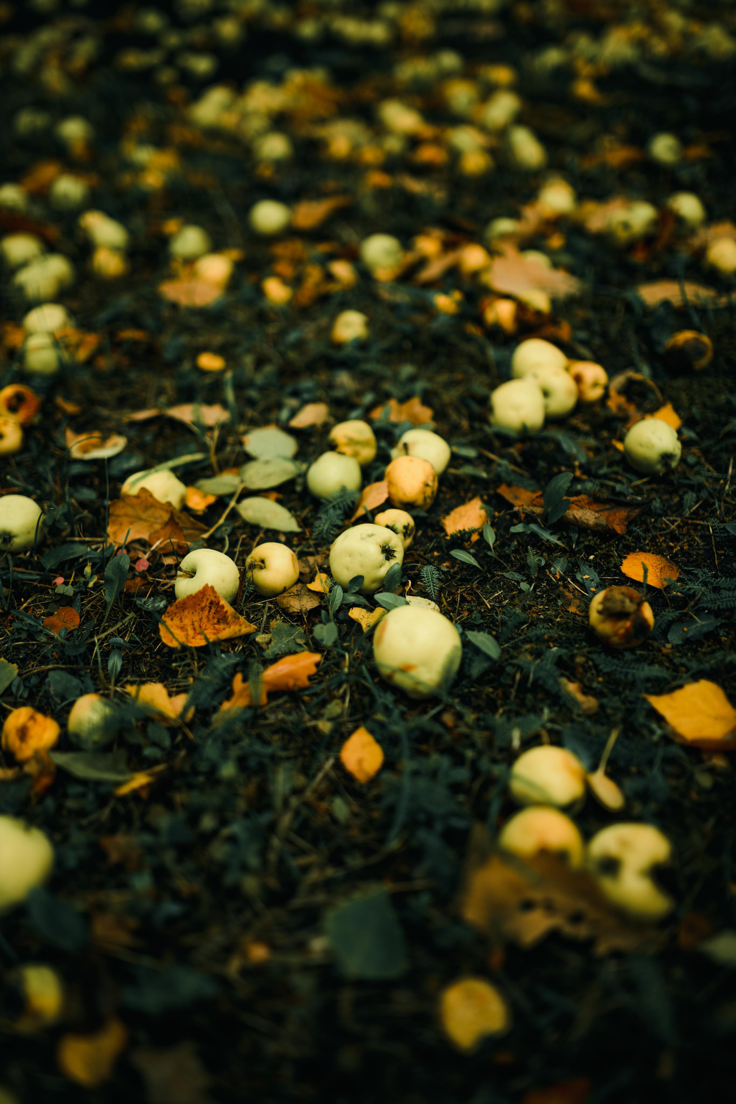 Природа. Александр Снапков | SnappPhoto | Буй