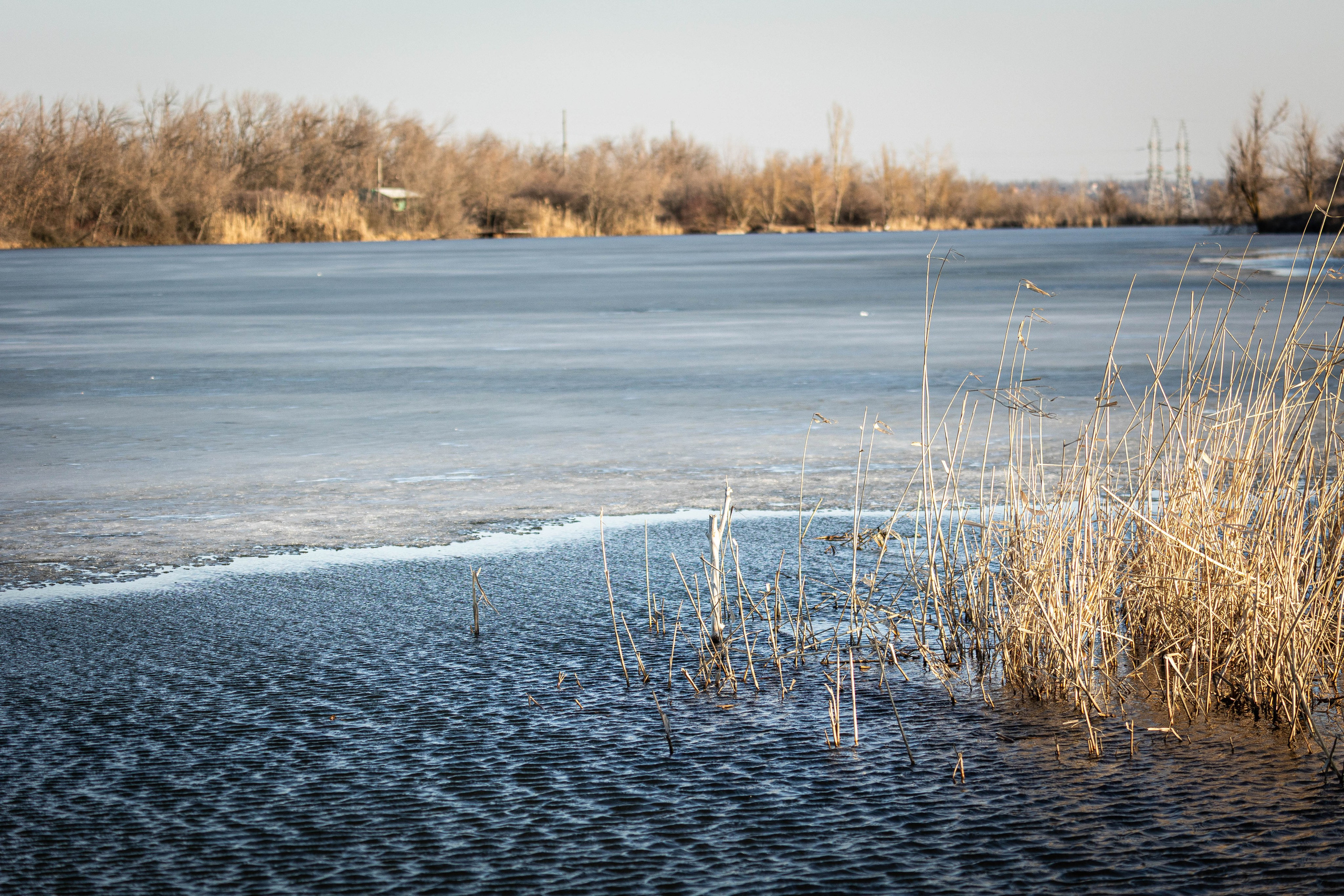 Дикий животный мир. Фотограф-АниМалист Анна Абрамова