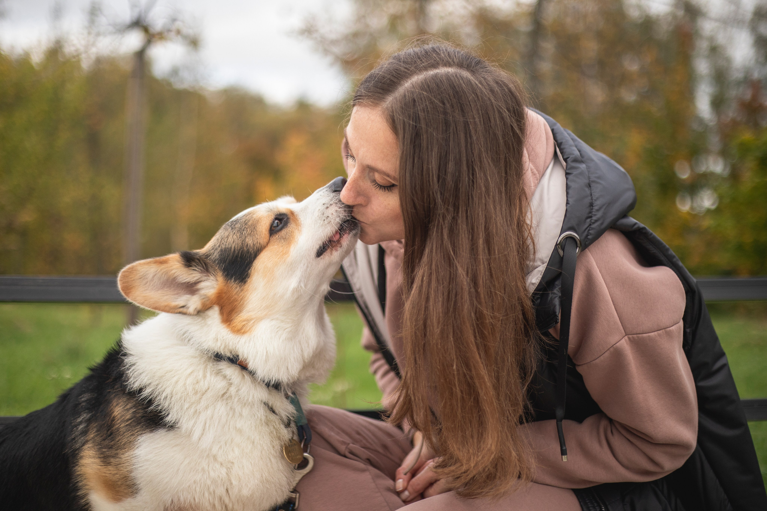 Портфолио. Фотограф-анималист Анна Леонтьева • Москва