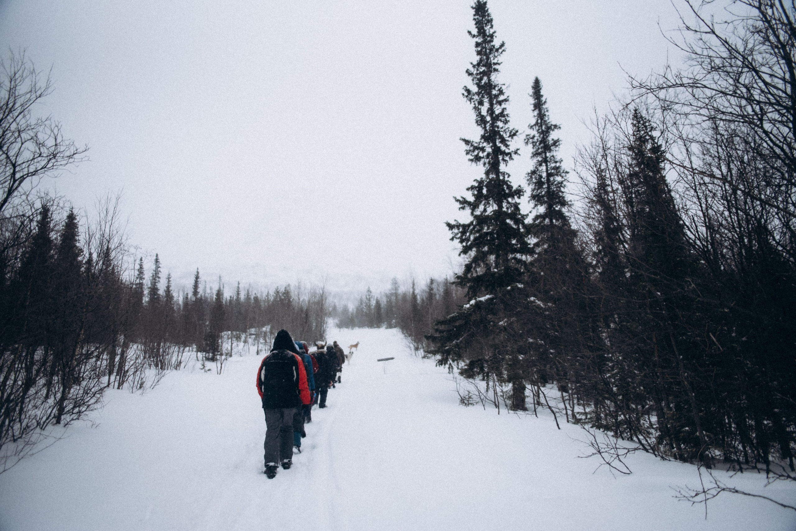 Териберка, Мурманск, Россия 🇷🇺. Anita_photo