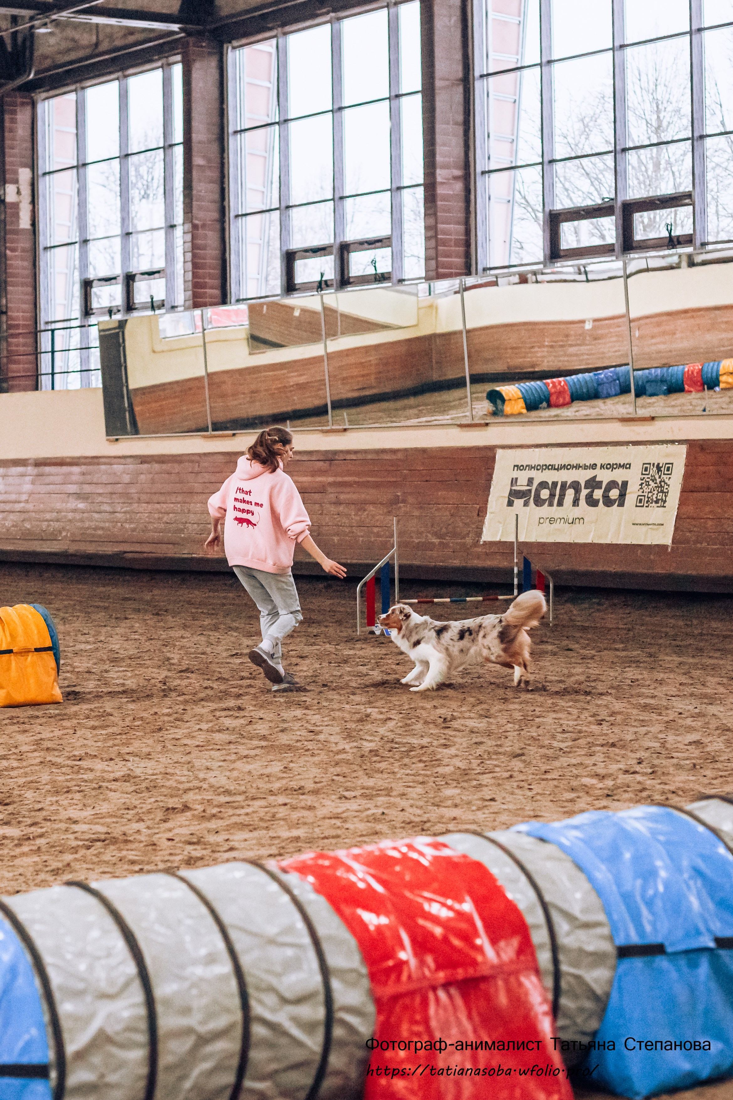 Соревнования по Аджилити 25.02.2024. Фотограф-анималист Татьяна Степанова