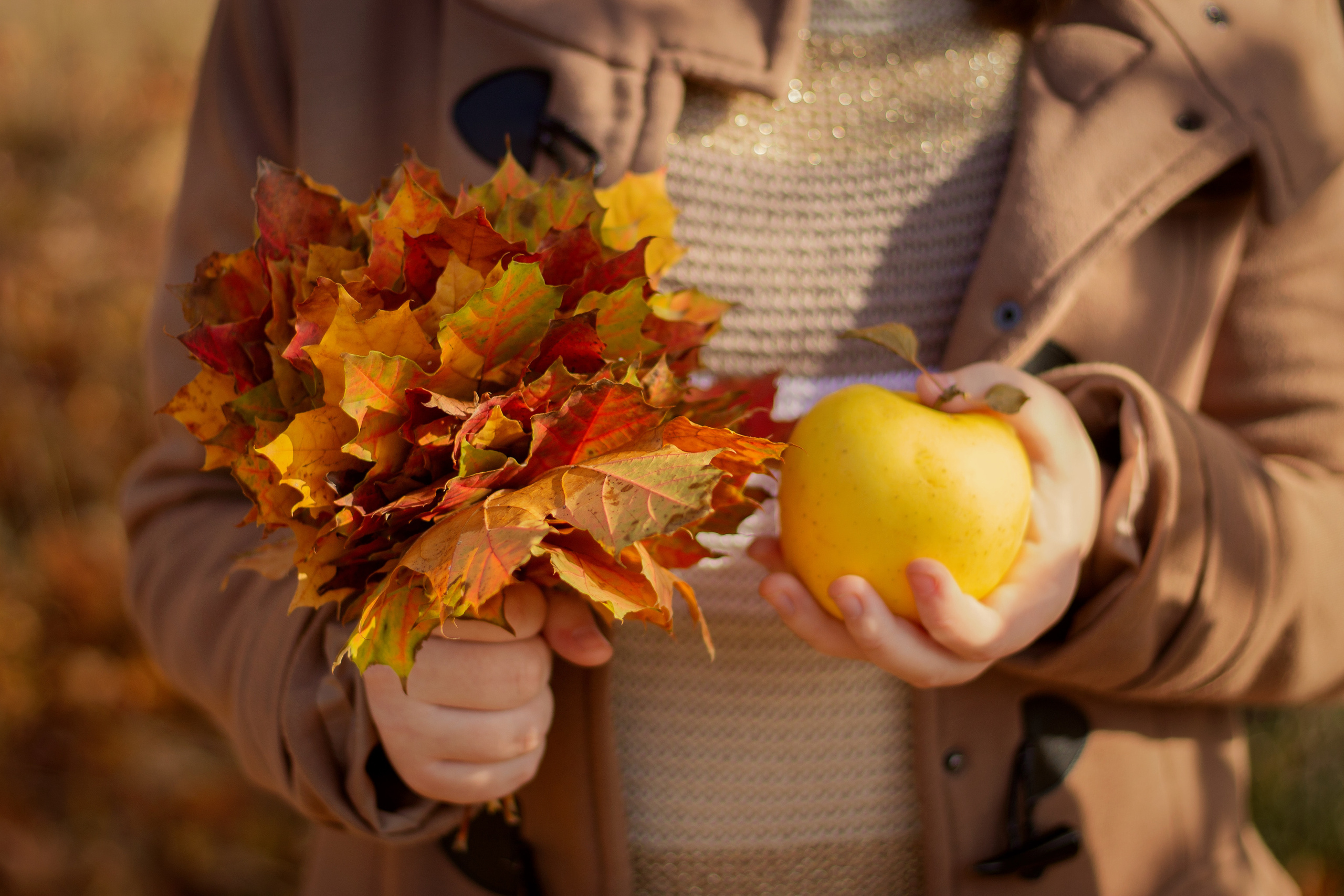 Сестры на осенней прогулке, Сапун-гора. Семейный и детский фотограф в г. Севастополь Екатерина Солдатова