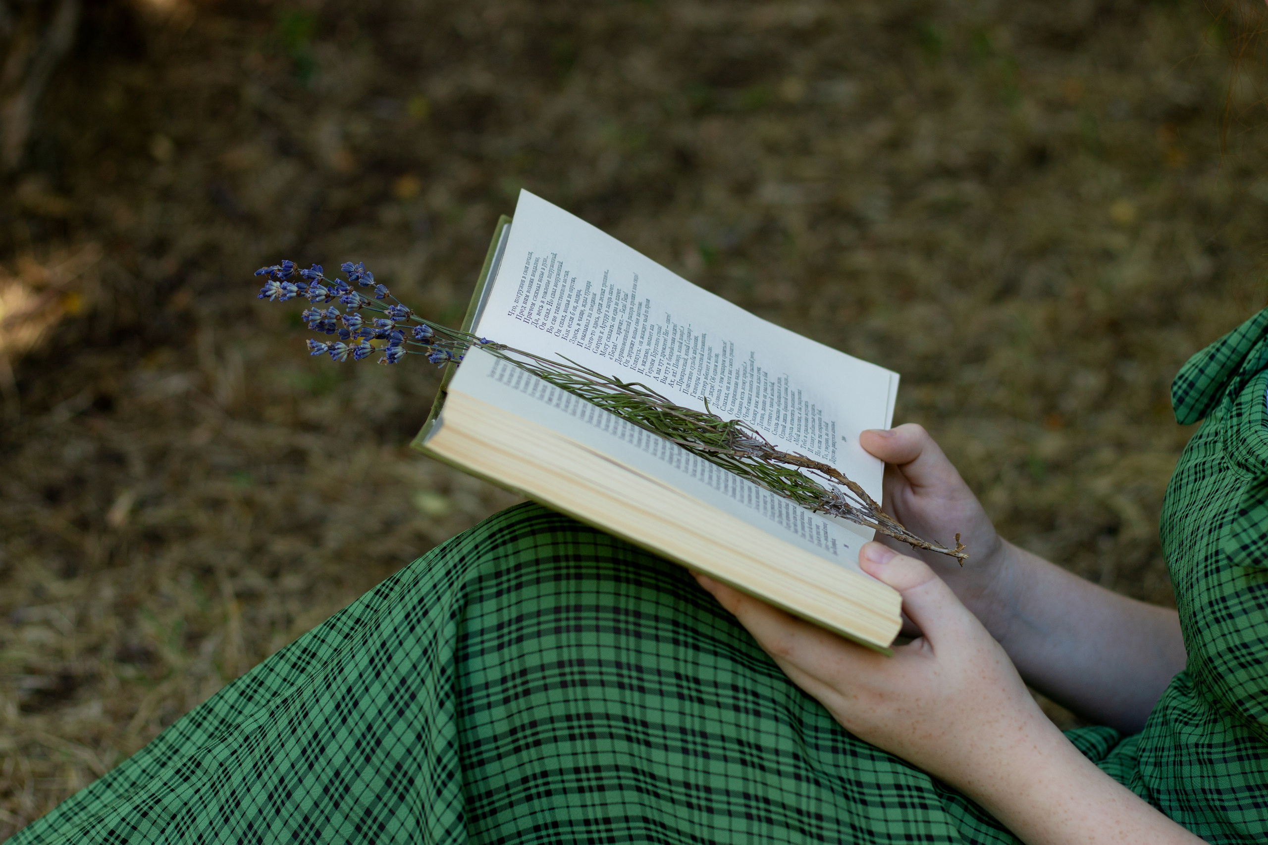 Соня, прогулка на Центральном холме. Семейный и детский фотограф в г. Севастополь Екатерина Солдатова