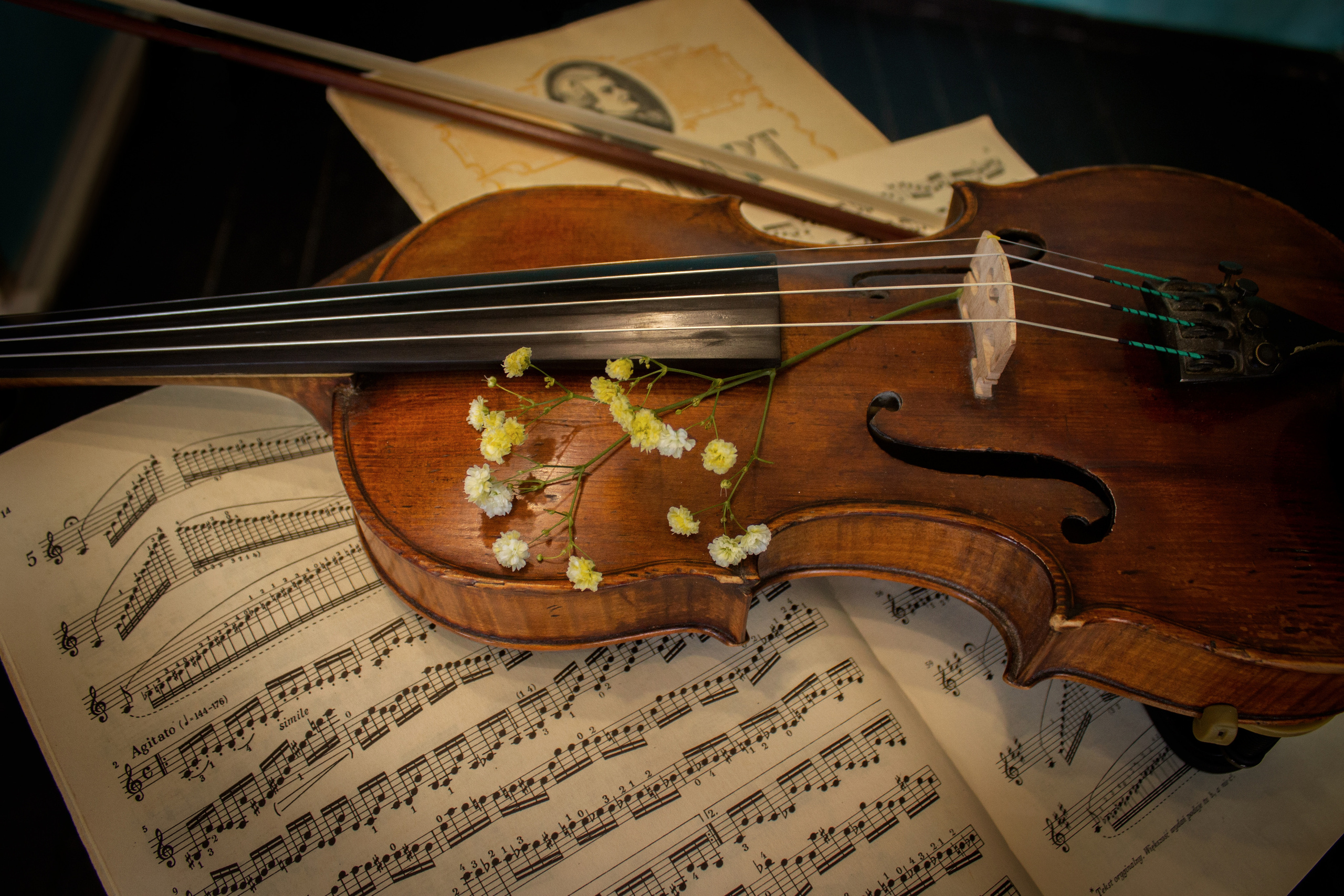 Дарина, роман со скрипкой, фотостудия СКС. Семейный и детский фотограф в г. Севастополь Екатерина Солдатова