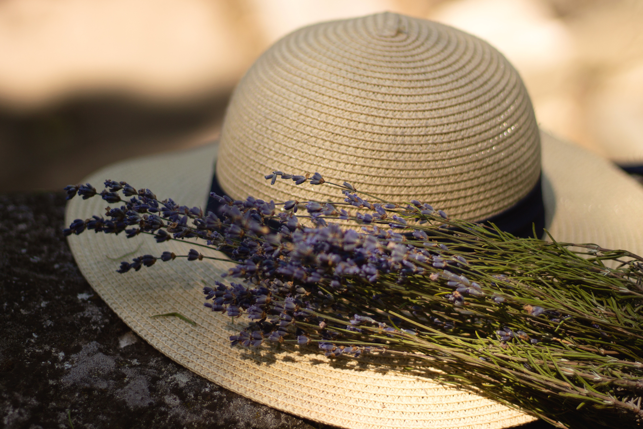 Соня, прогулка на Центральном холме. Семейный и детский фотограф в г. Севастополь Екатерина Солдатова