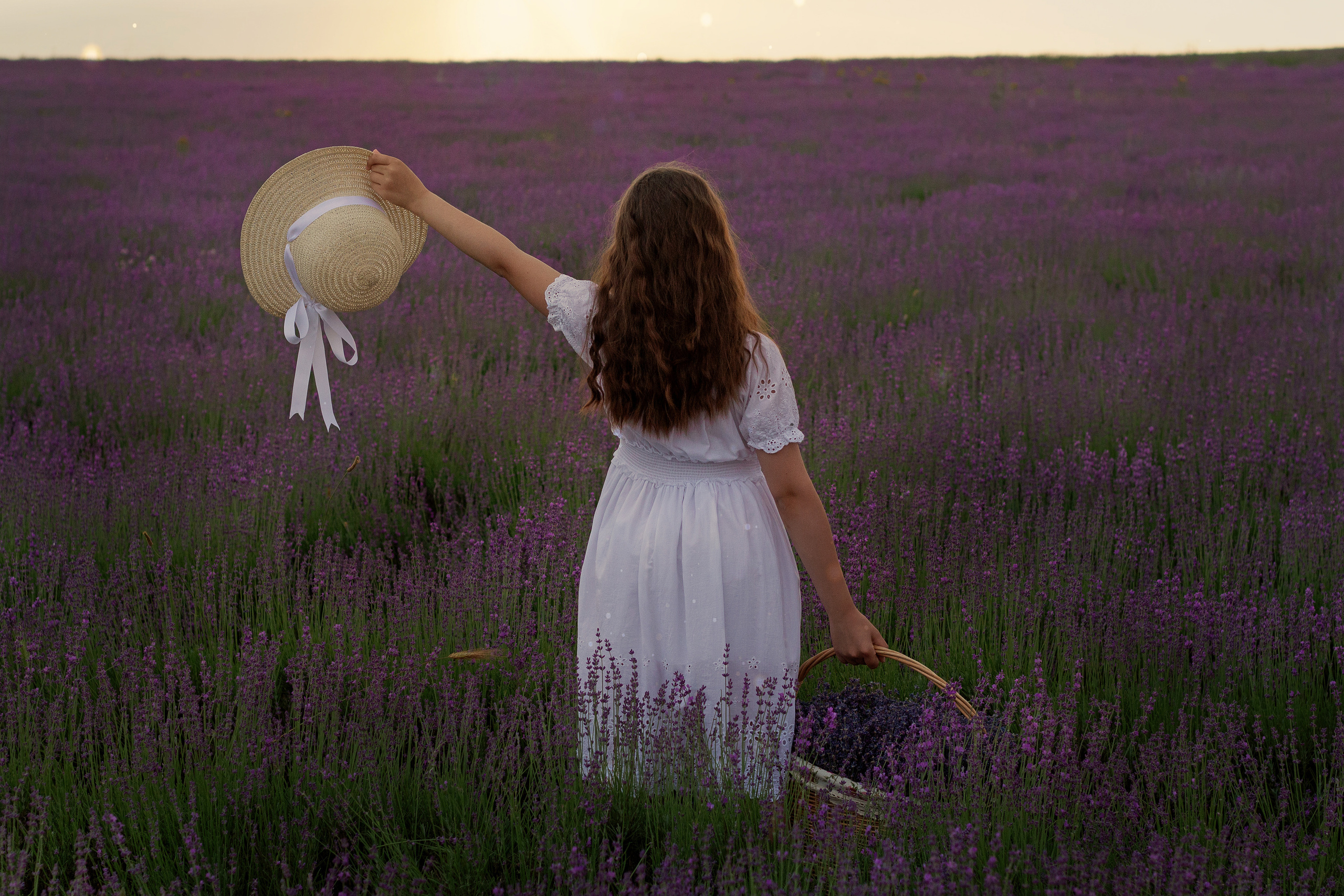 Маргаритка, лавандовая история. Семейный и детский фотограф в г. Севастополь Екатерина Солдатова