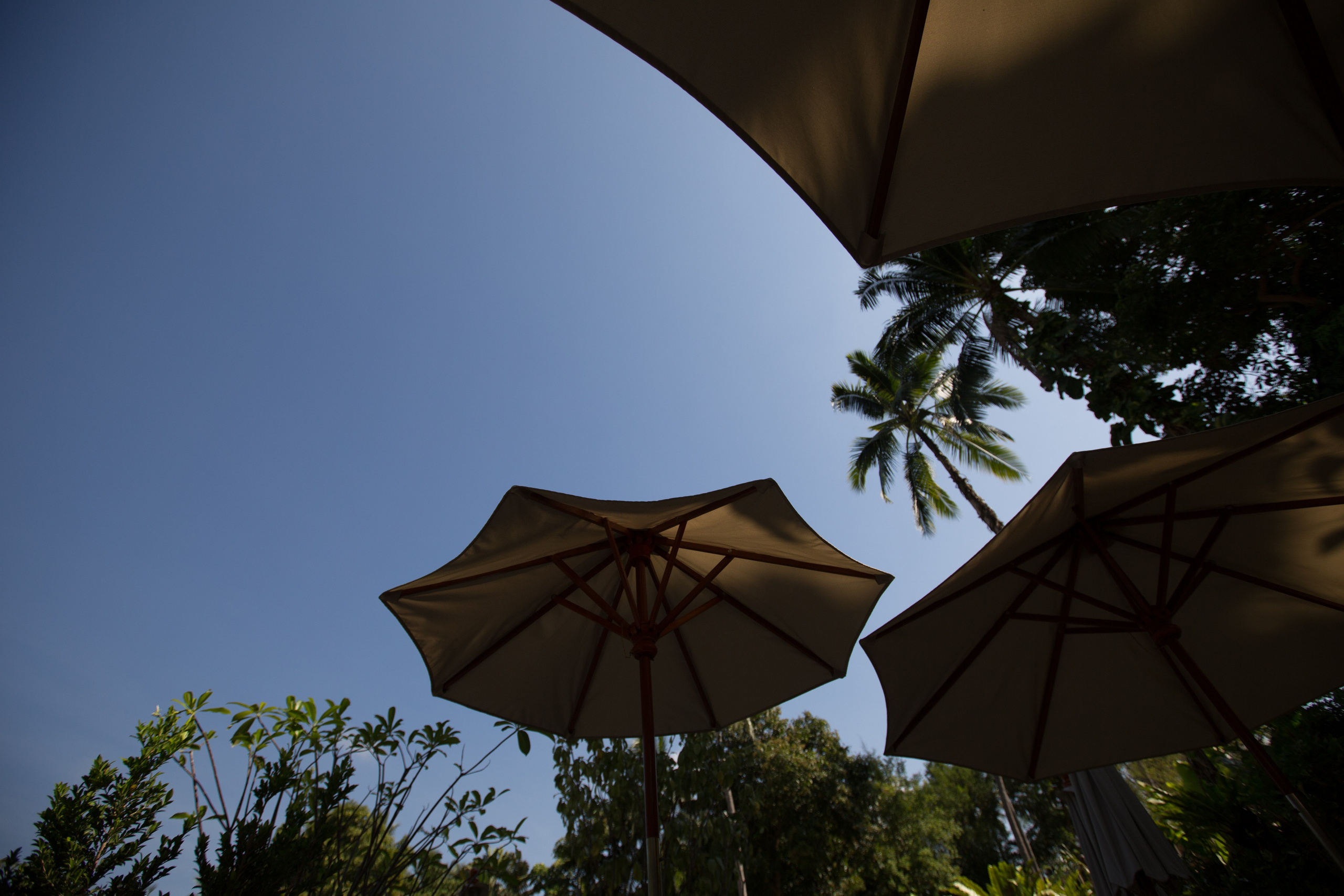 Фото Тайланда. Студия Максима Белослюдцева