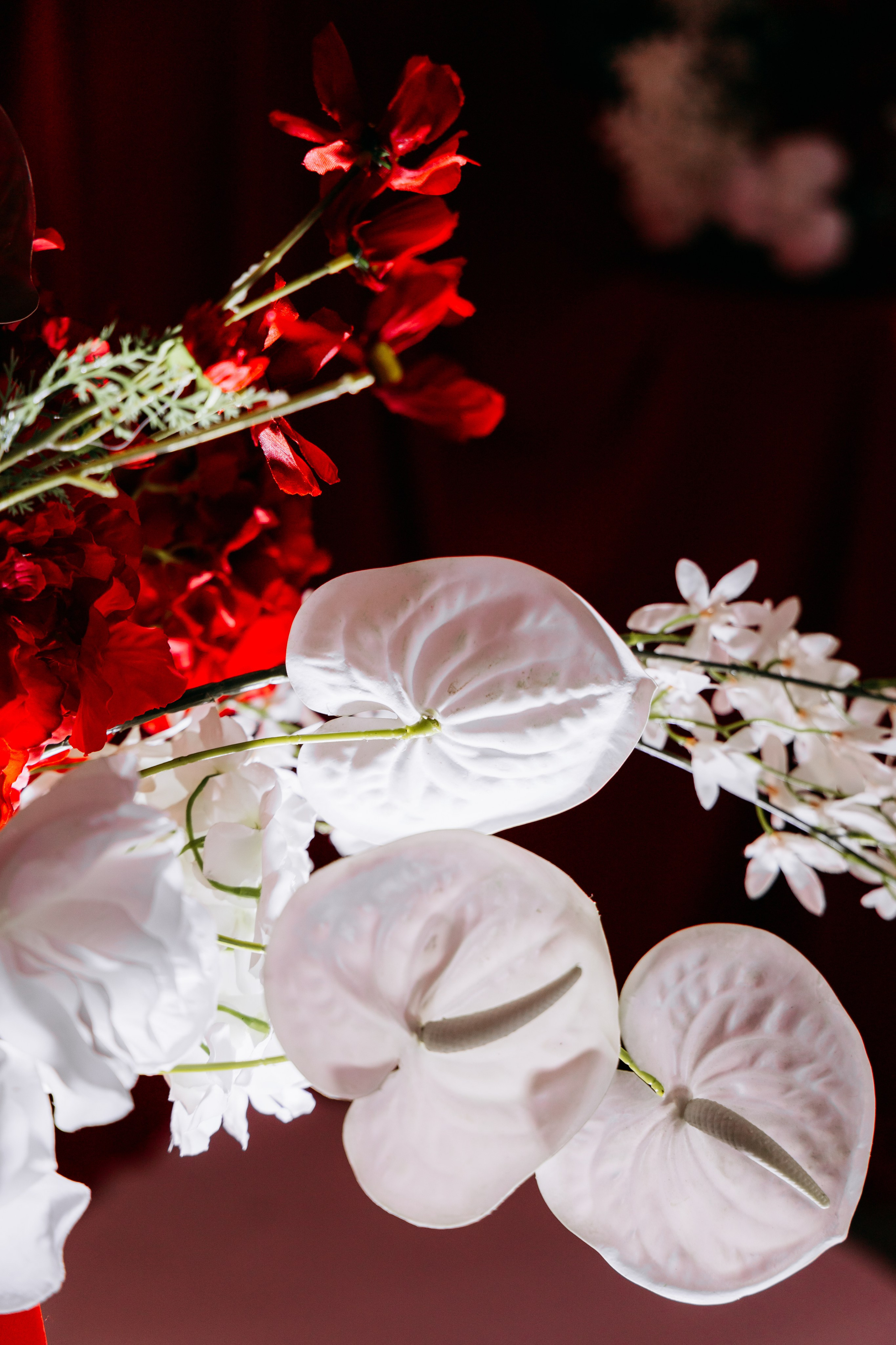 Ерлан и Сабина. Фотограф в Омске Валерия Крячко