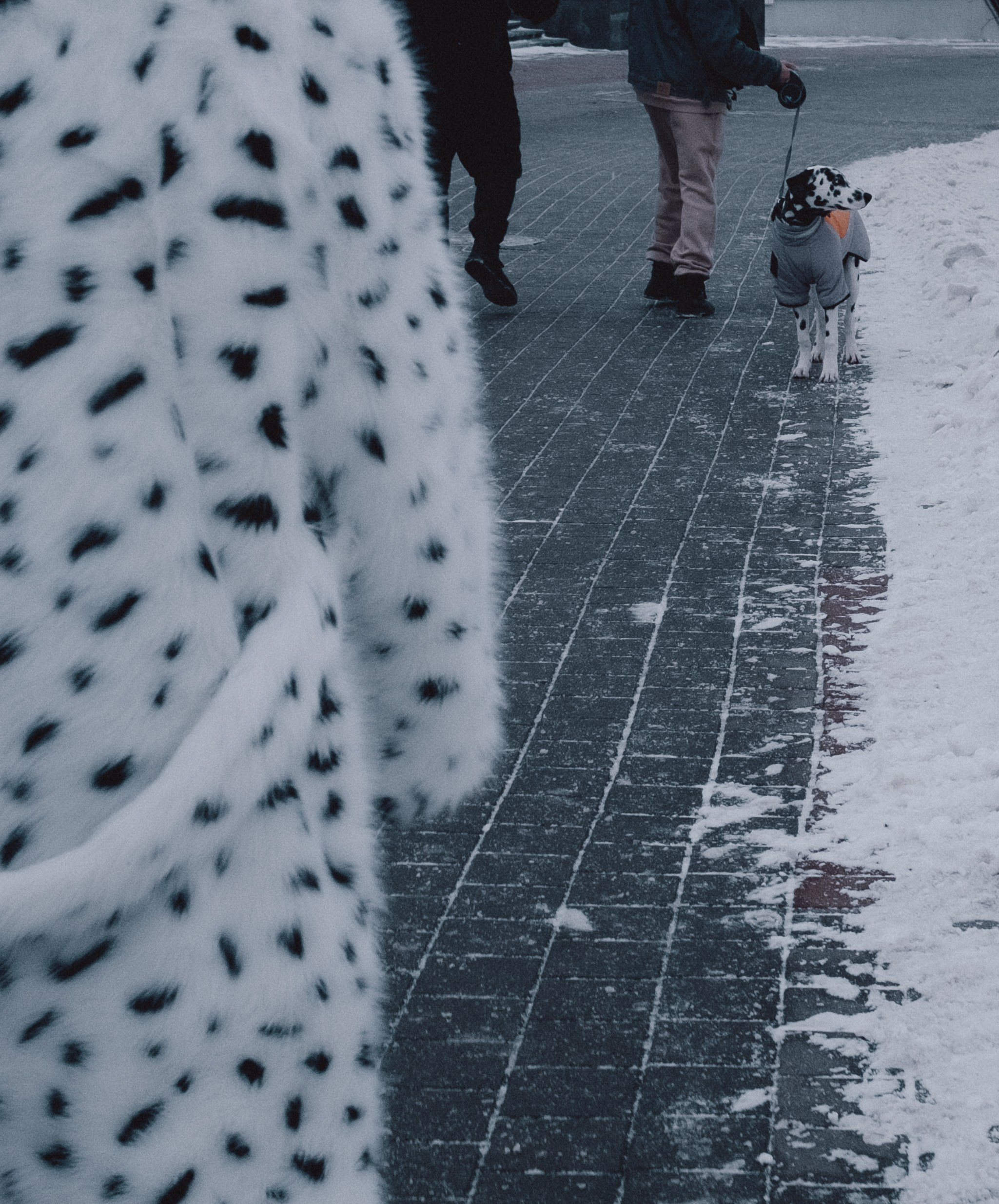 Стрит. Фотограф Минск