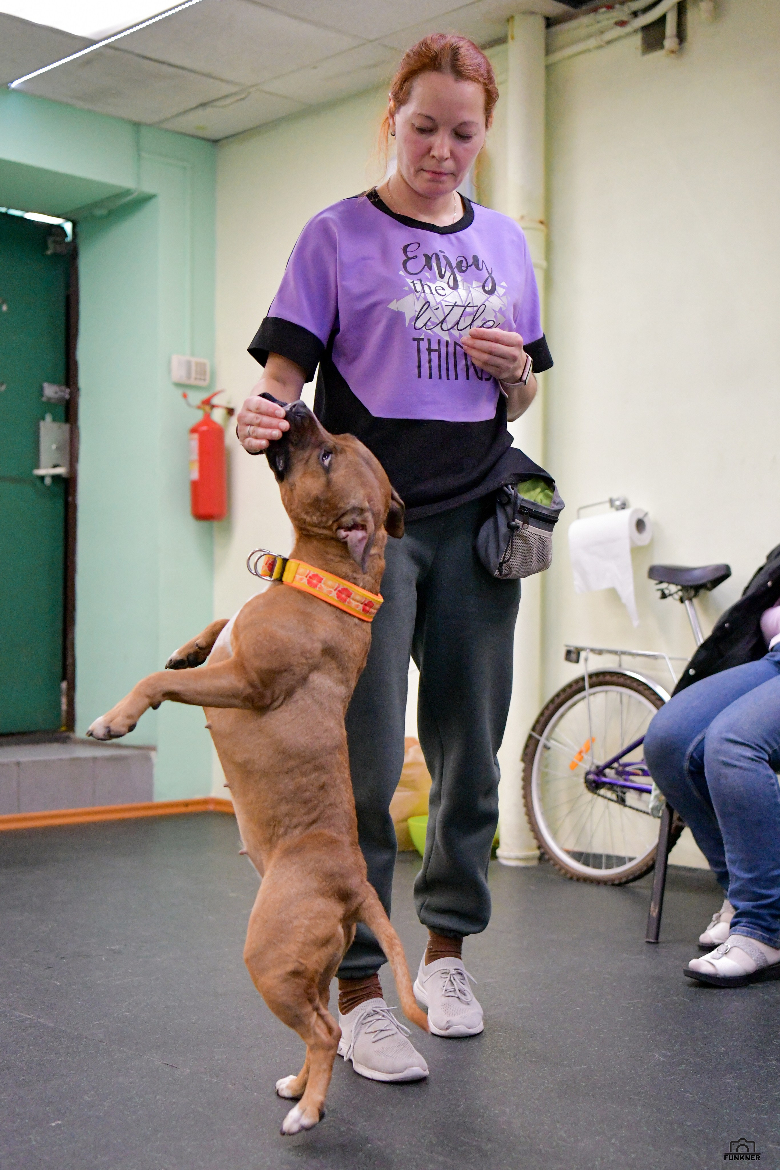 Кинологический клуб «Бодрый хвост». Свой взгляд через объектив