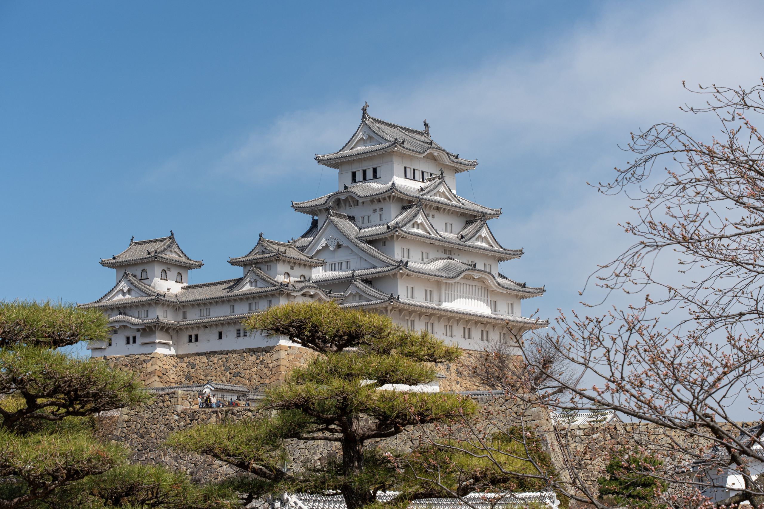 Япония, сакура. Творческие сьемки