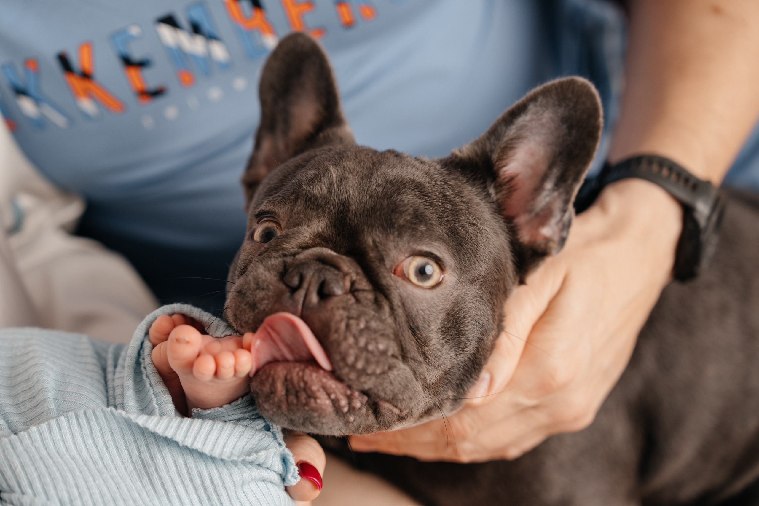 Newborn. Фотограф новорожденных в Москве, Зеленограде, МО, Дмитриева Дарья