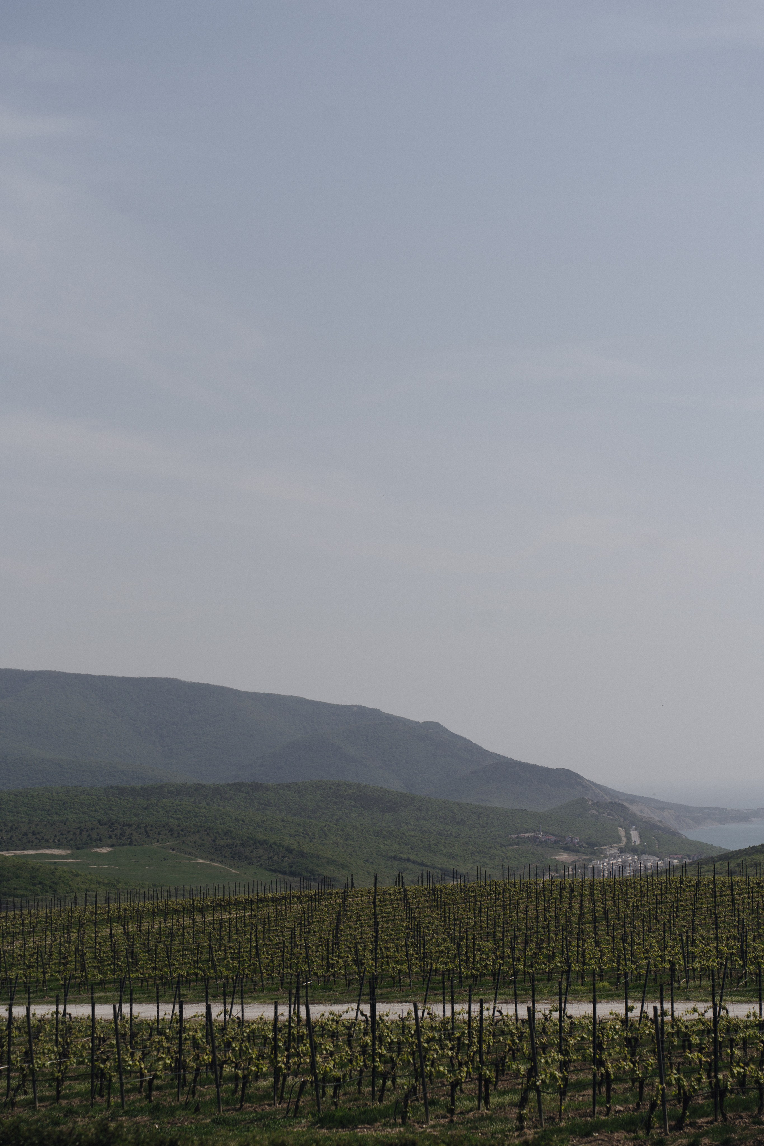 Скалистый берег 2024. Свадебный фотограф в Краснодаре и Сочи Винидиктова Екатерина