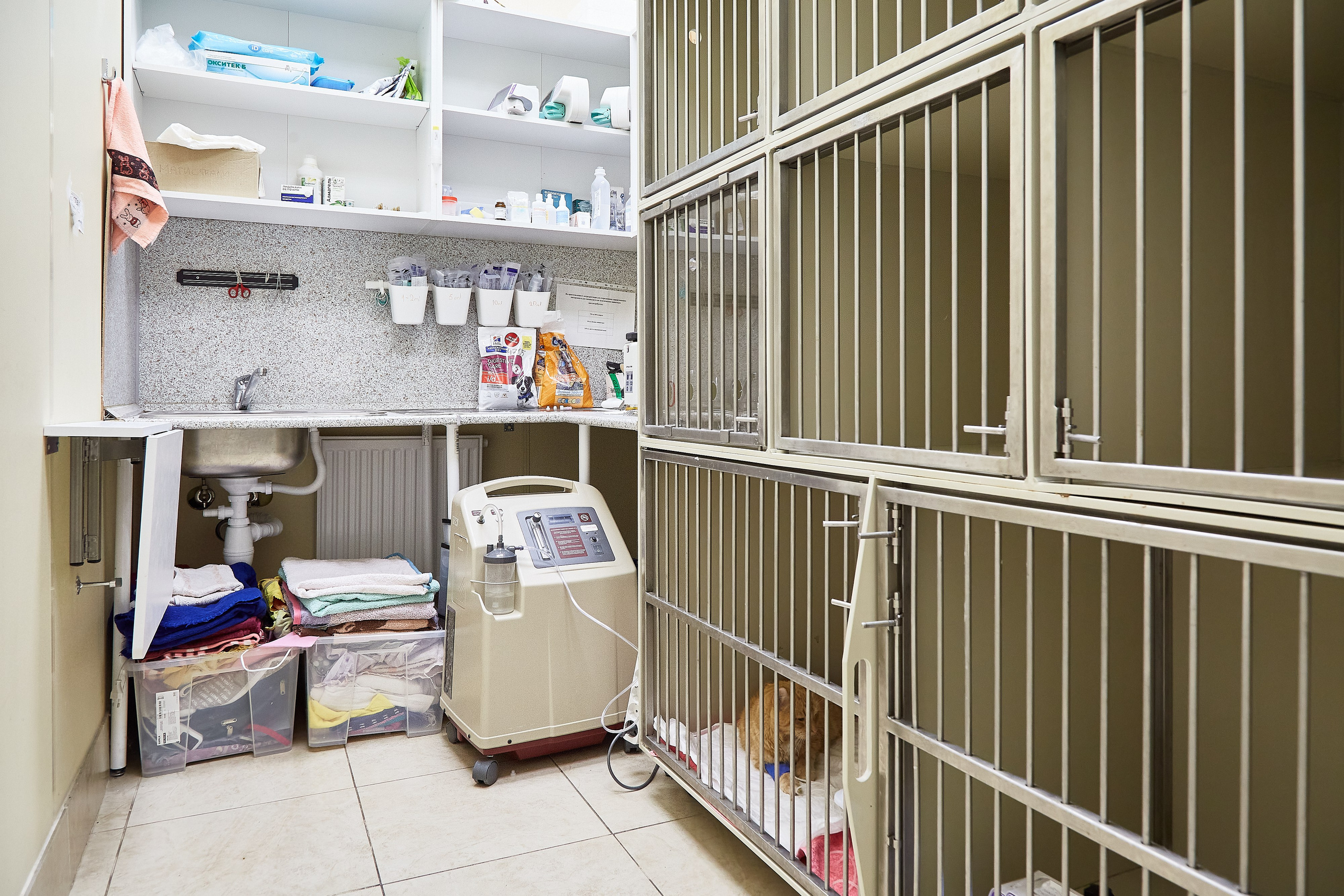 Ветеринарная клиника Косточка на Дальневосточном пр. Фотограф Анастасия Леонтьева Санкт-Петербург