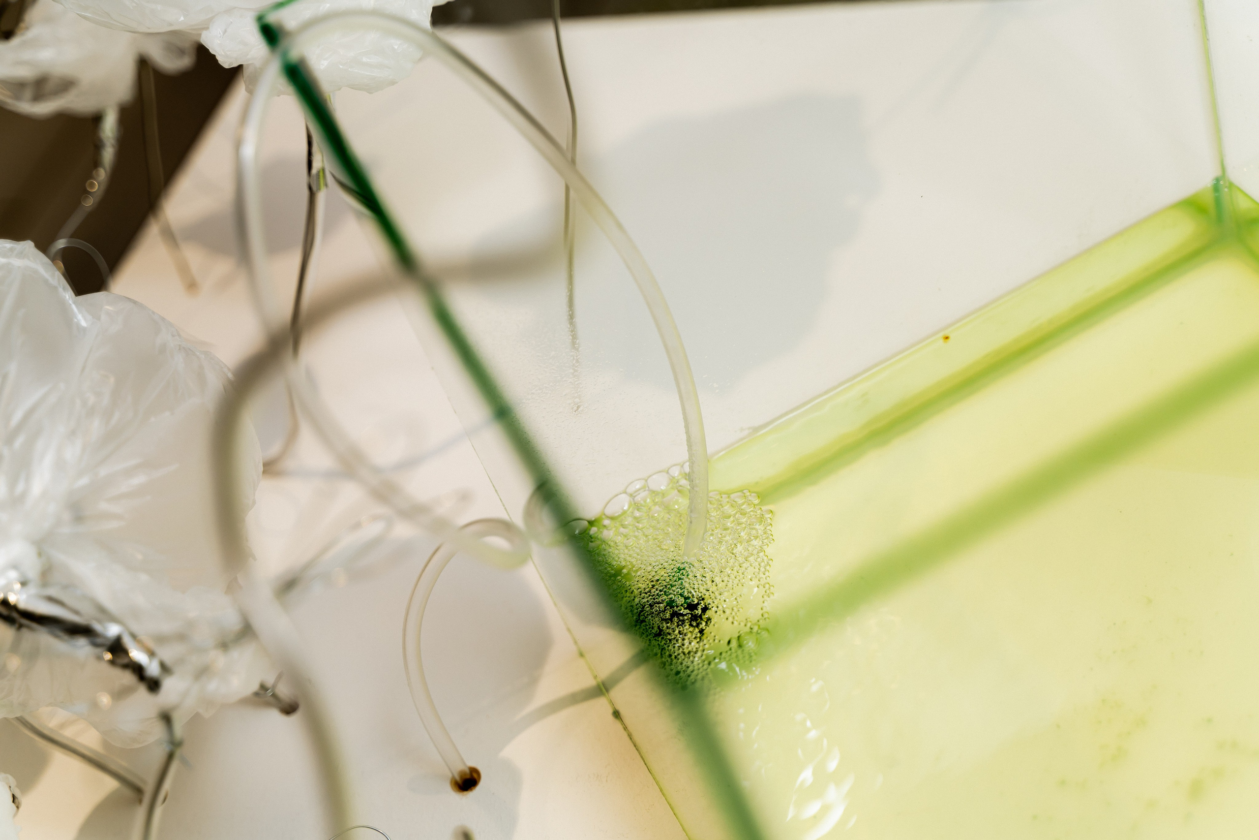 Открытие выставки. Твой фотограф Алина Кочергина