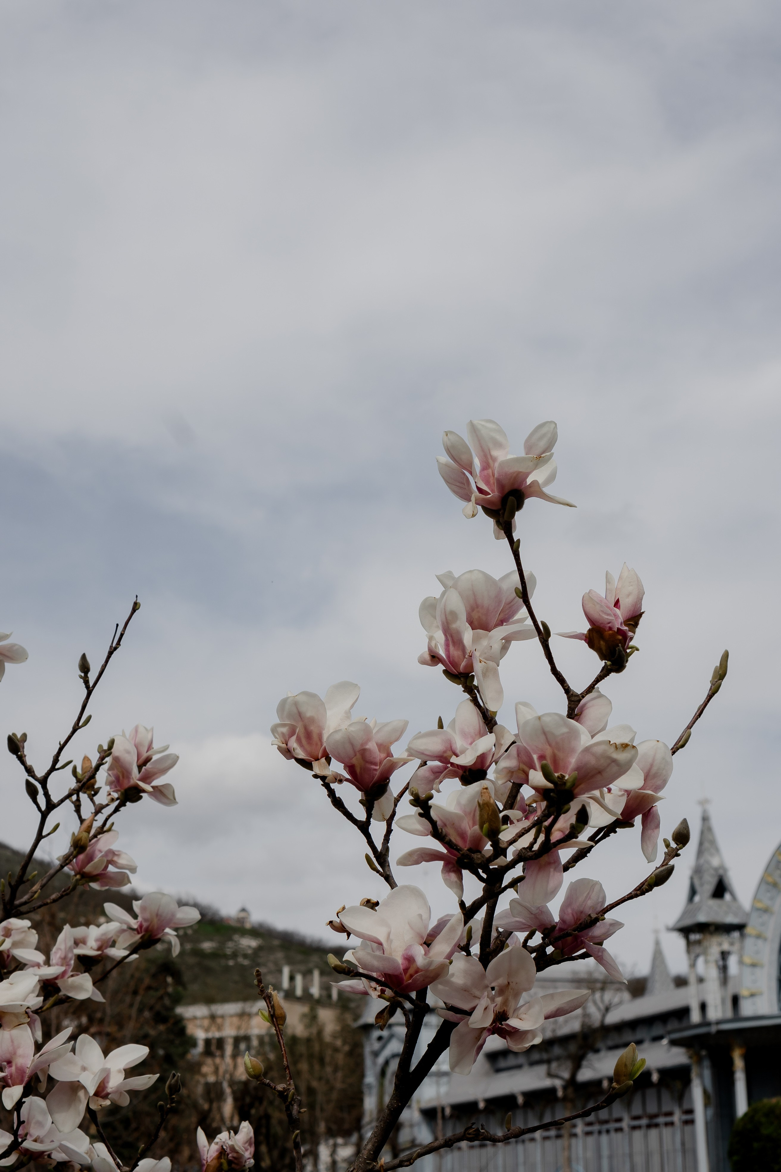 ПЯТИГОРСК. Профессиональный фотограф, Санкт-Петербург — Виктория Богомолова
