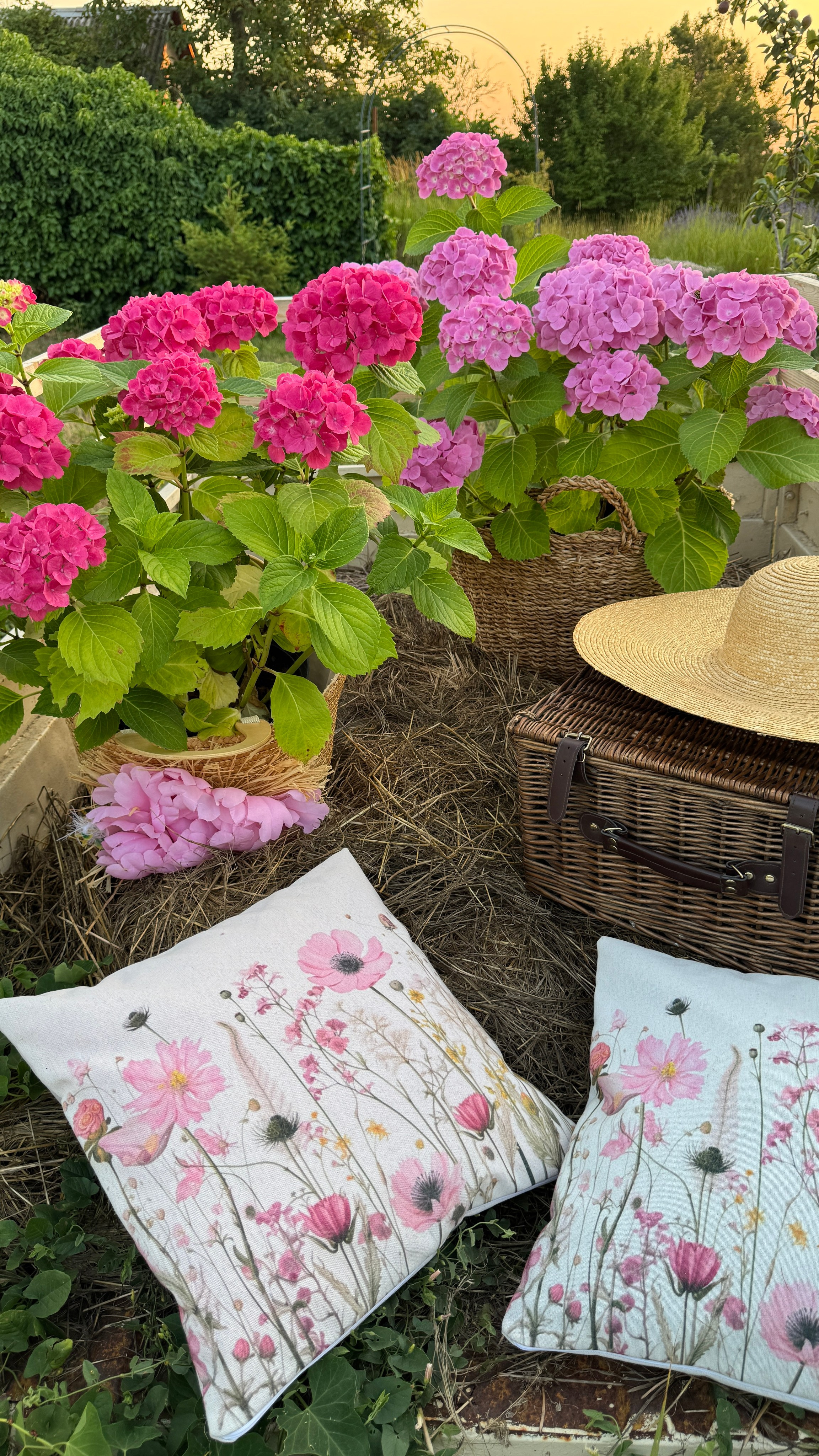 Локации с цветами. Фотостудия Натальи Забродской