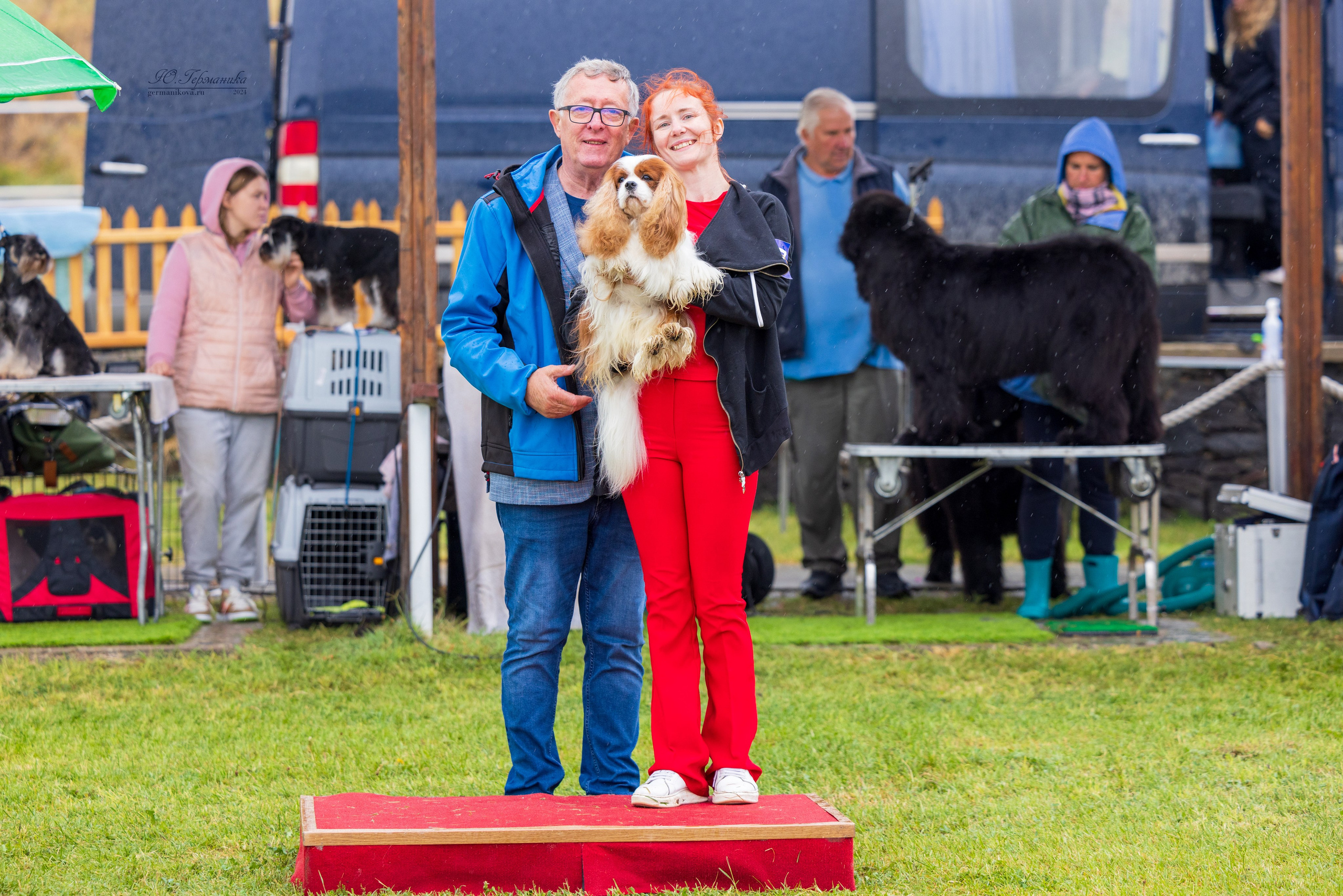 Армения,Ереван 3хCACIB 15-17.10.2024. Фотограф-анималист Юлия Германика