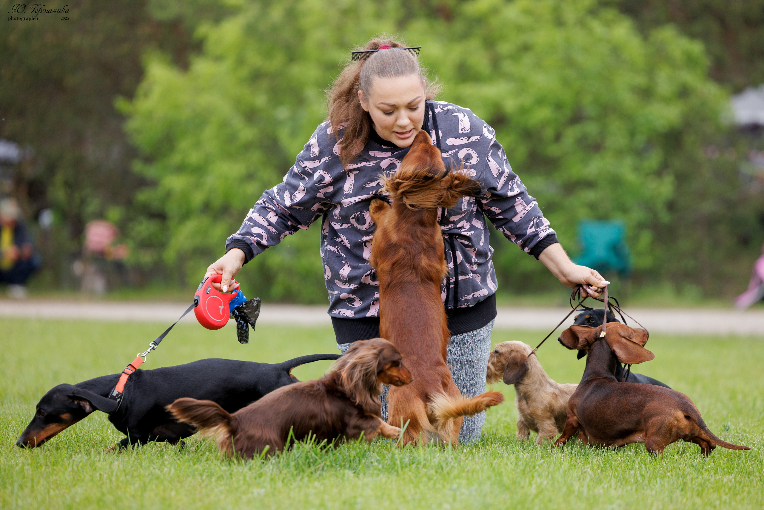 Суздаль(Владимир)17-18.05.2025. Фотограф-анималист Юлия Германика