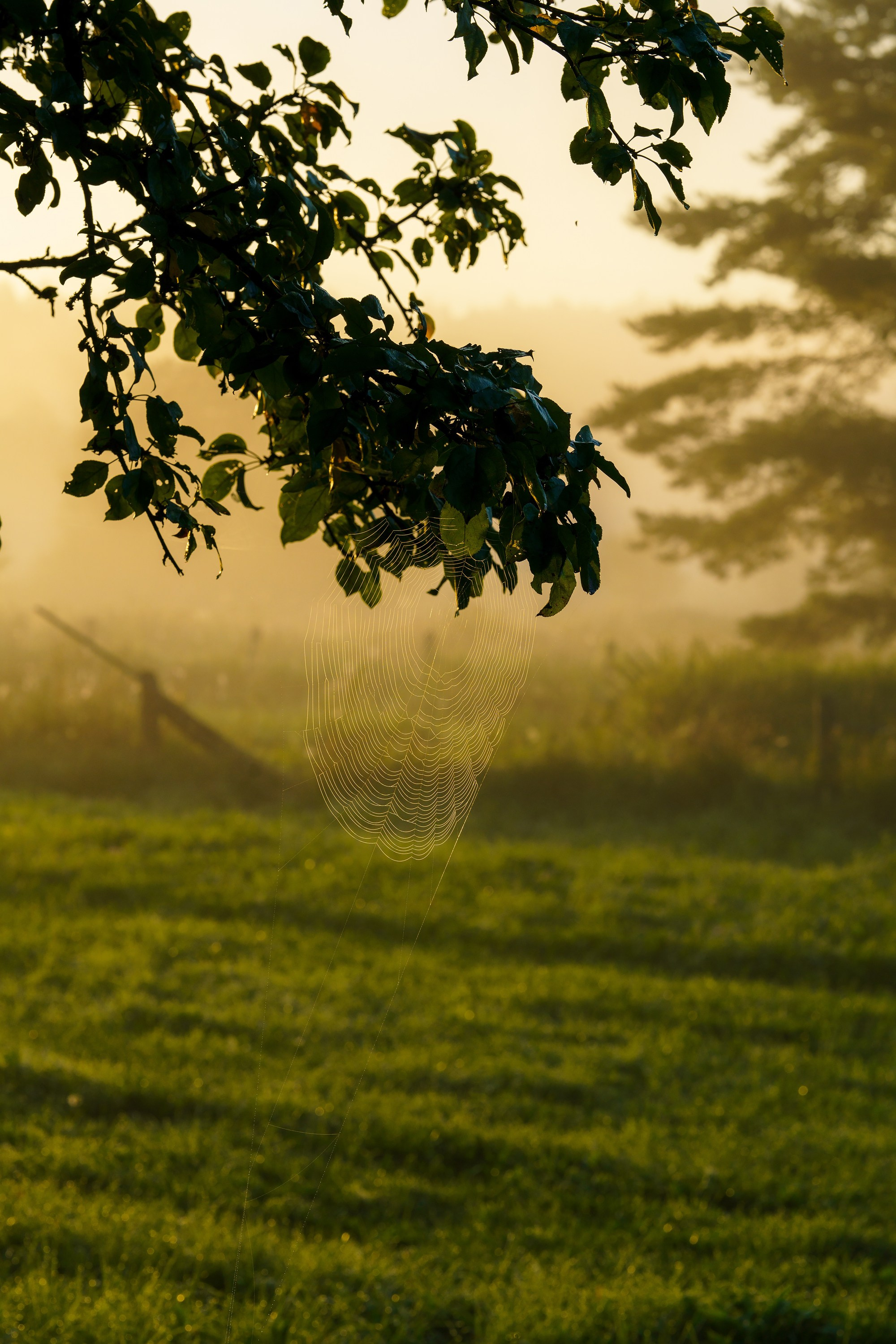 Фотографии Национальный парк Угра. Фотограф спортивные события, недвижимость, турбизнес