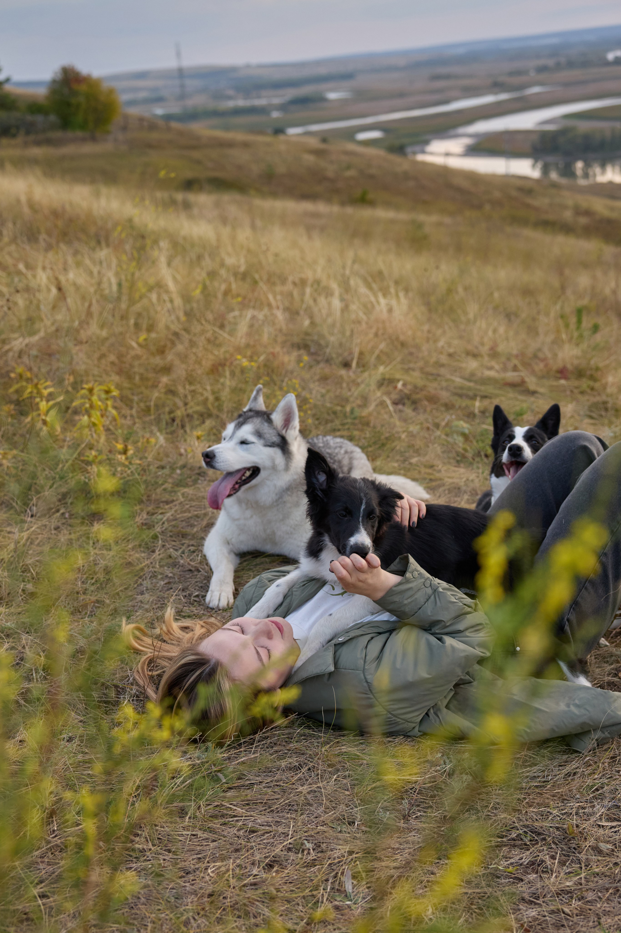 Аделя и ее хвостики. Фотограф анималист в Казани Алина Сулейманова. Фотограф животных