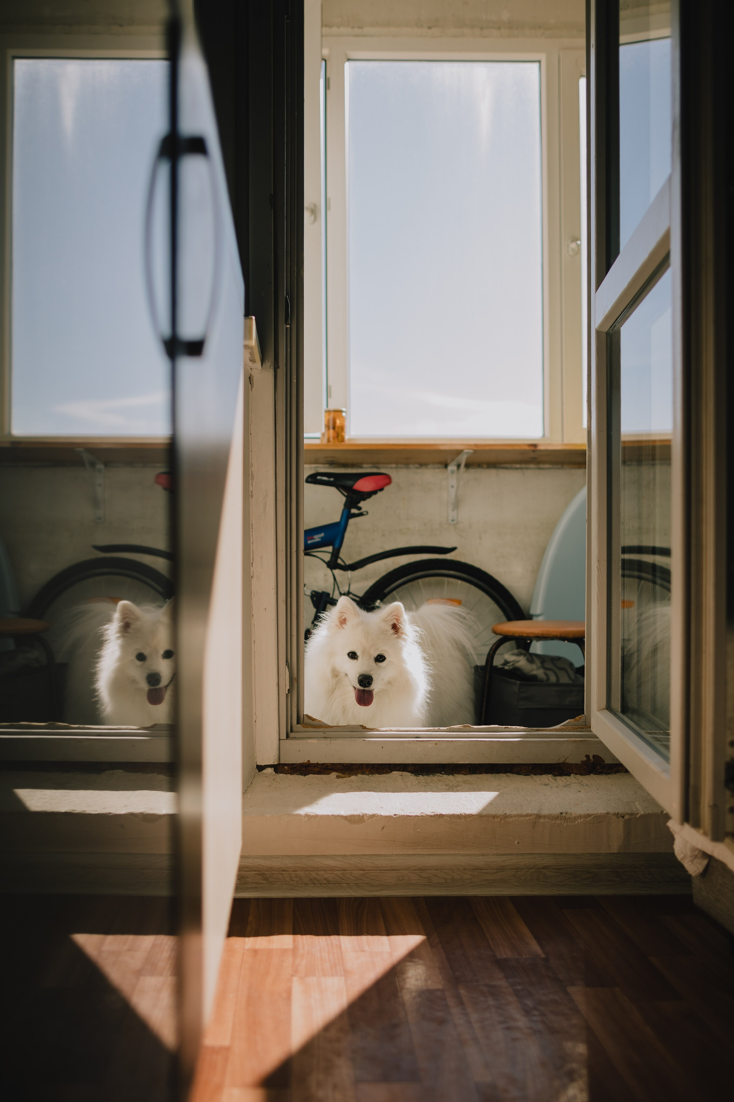 В квартире. Фотограф в Москве Таня Быкова