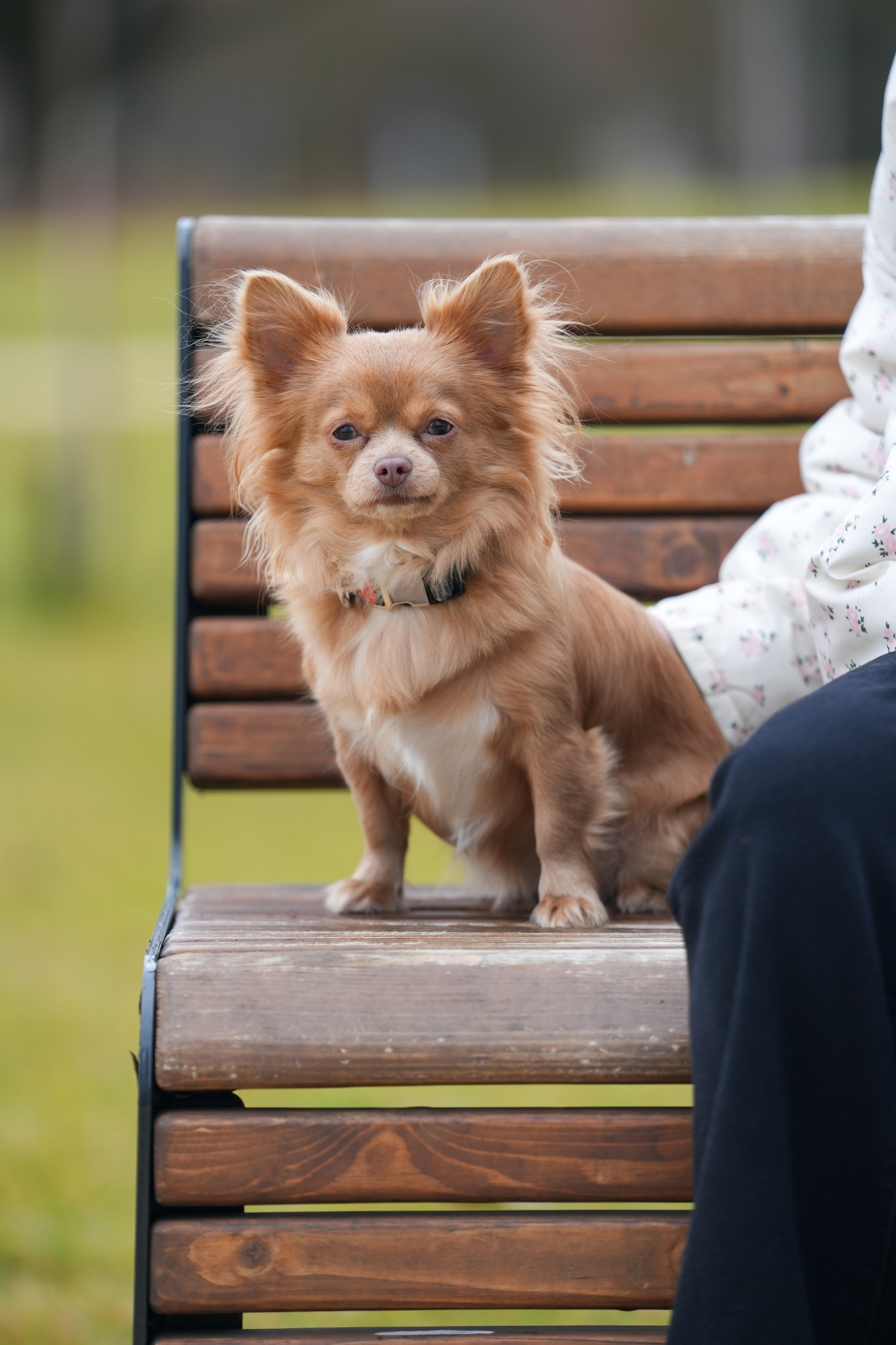 ВАРЯ И ЛИЛУ. Фотограф Наталья Погодина в г. Обнинске