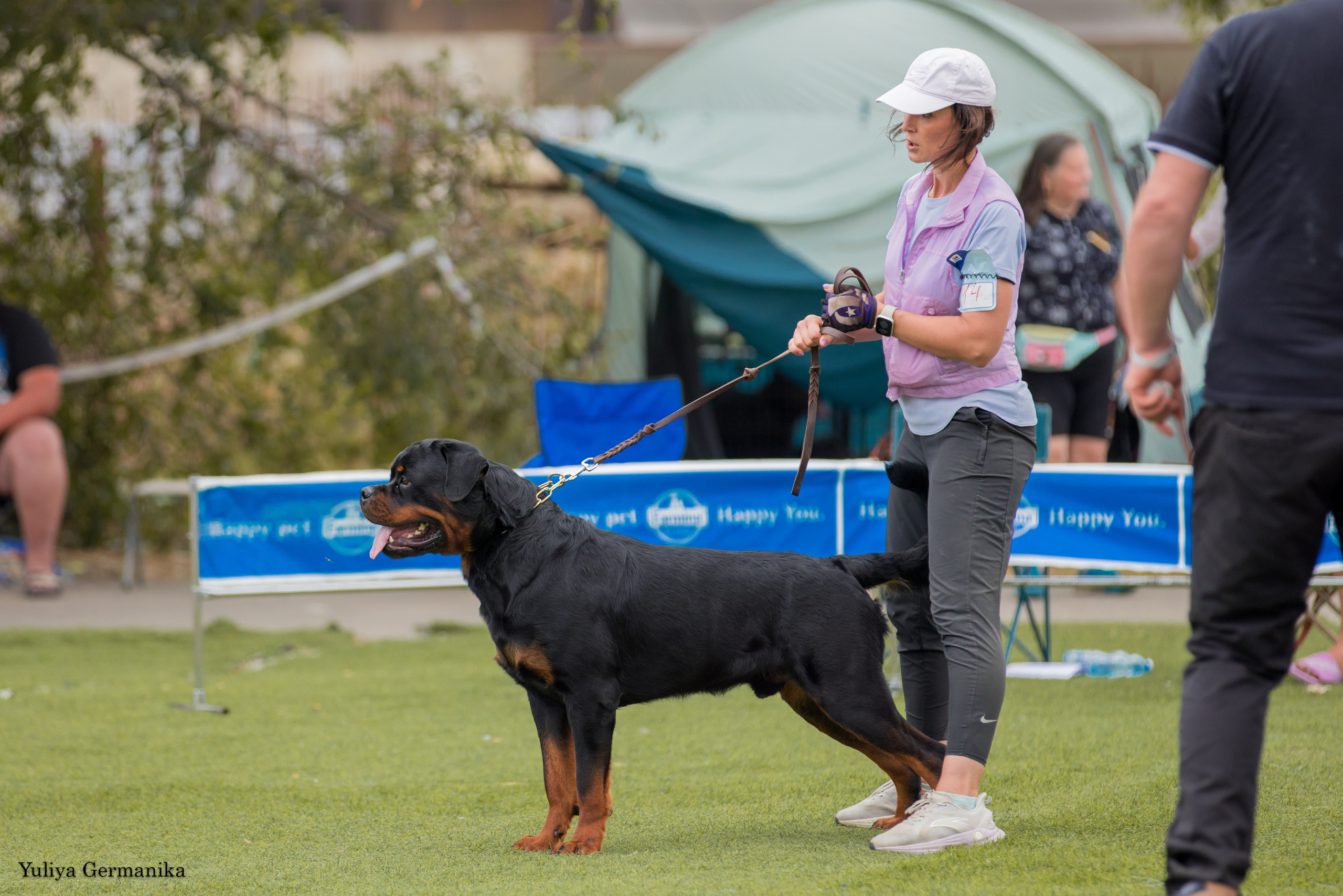 Анапа 16-17.09.2023 моно ротвейлеров. Фотограф-анималист Юлия Германика