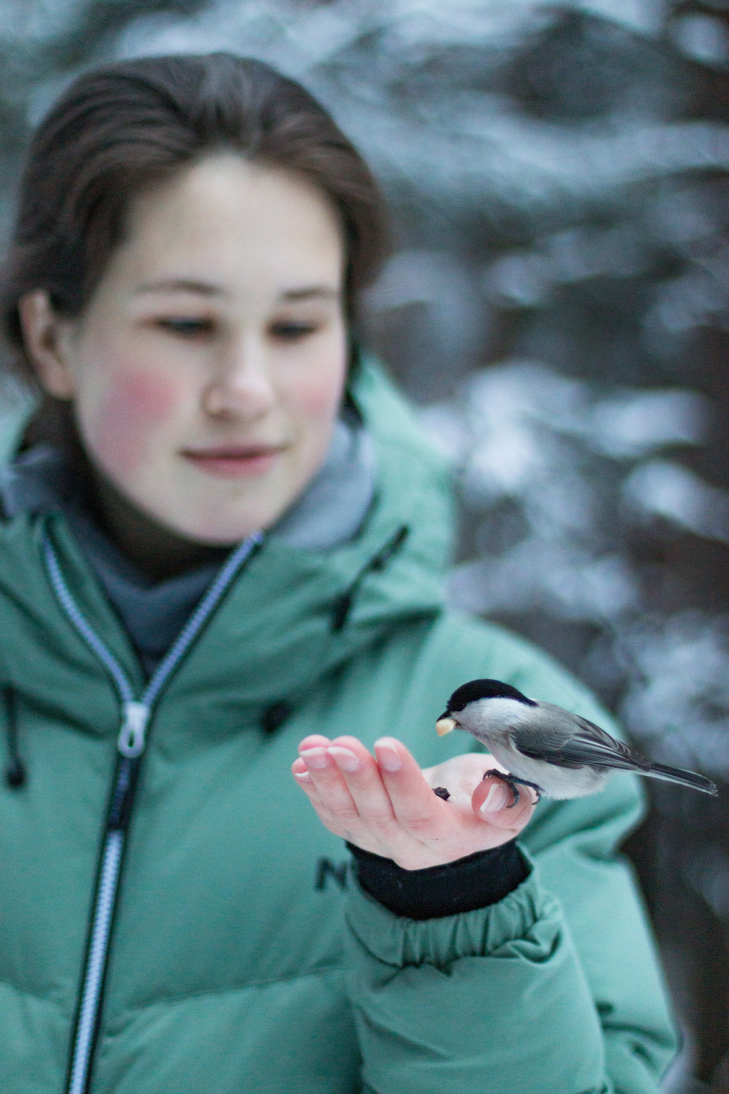 Русский север, Белое море, Архангельск. Фотограф в Сочи